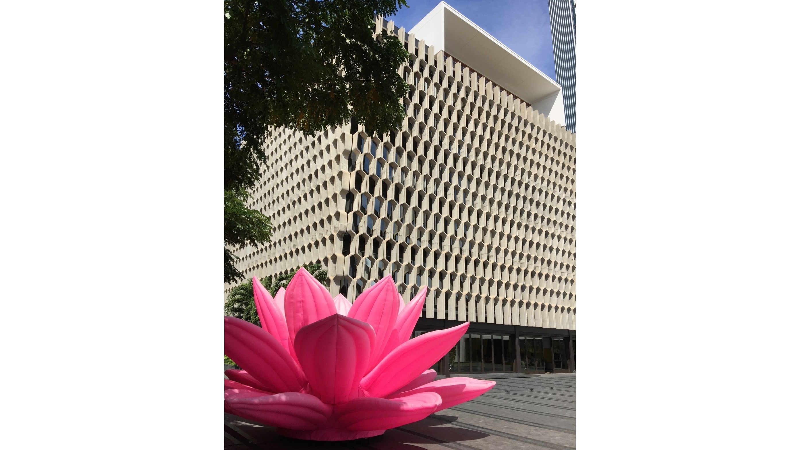 IBM Building hosts Biennial