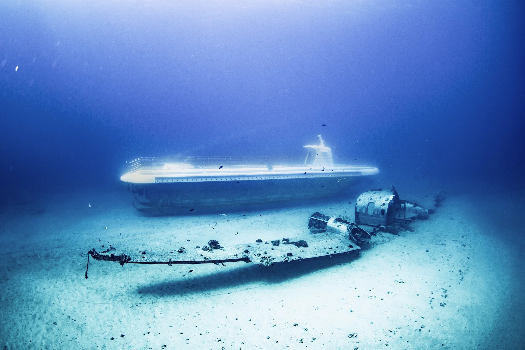Atlantis Adventures offers submarine tours of the ocean.