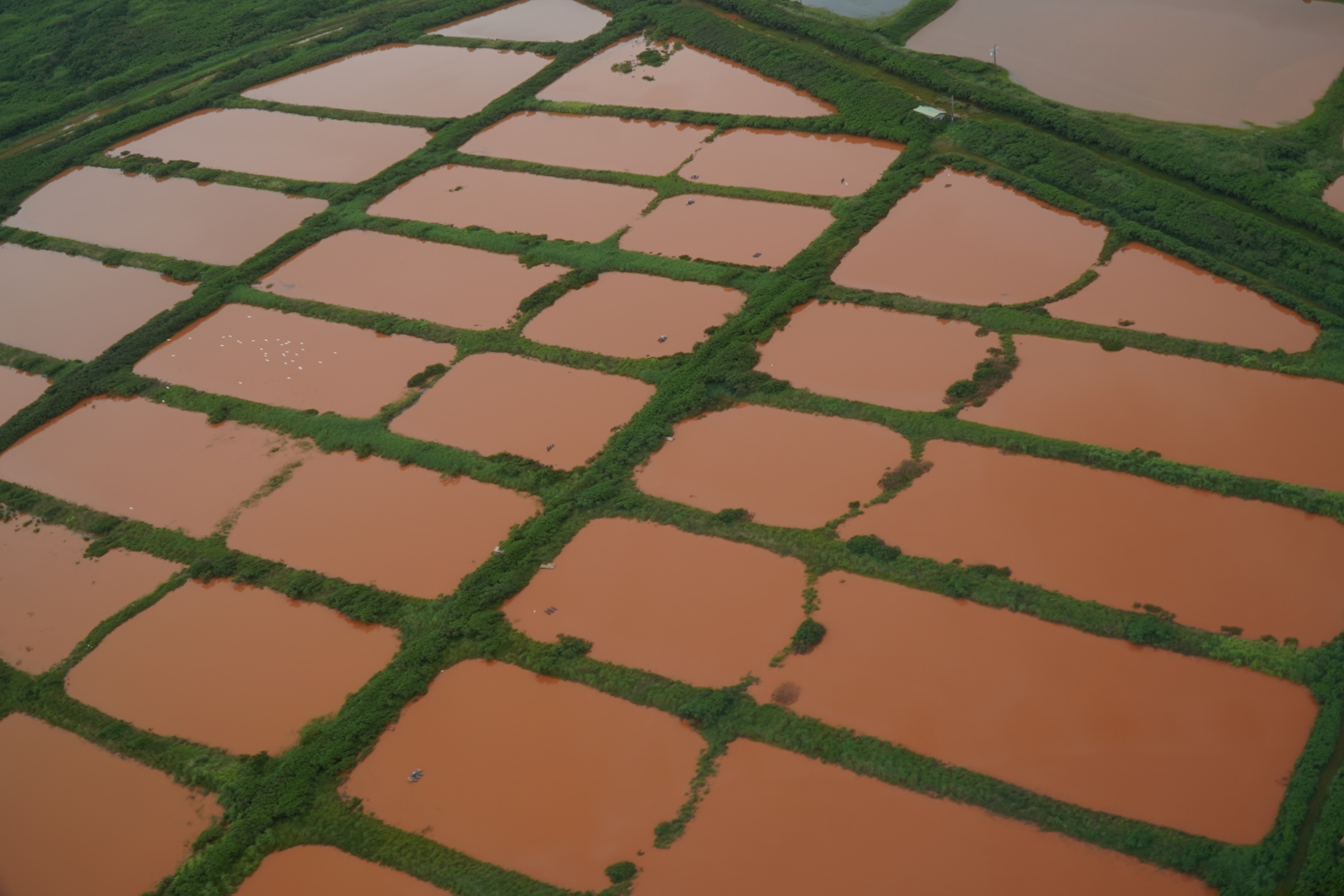Floodwater covers agricultural land on Oʻahu following the Kona low storms.
