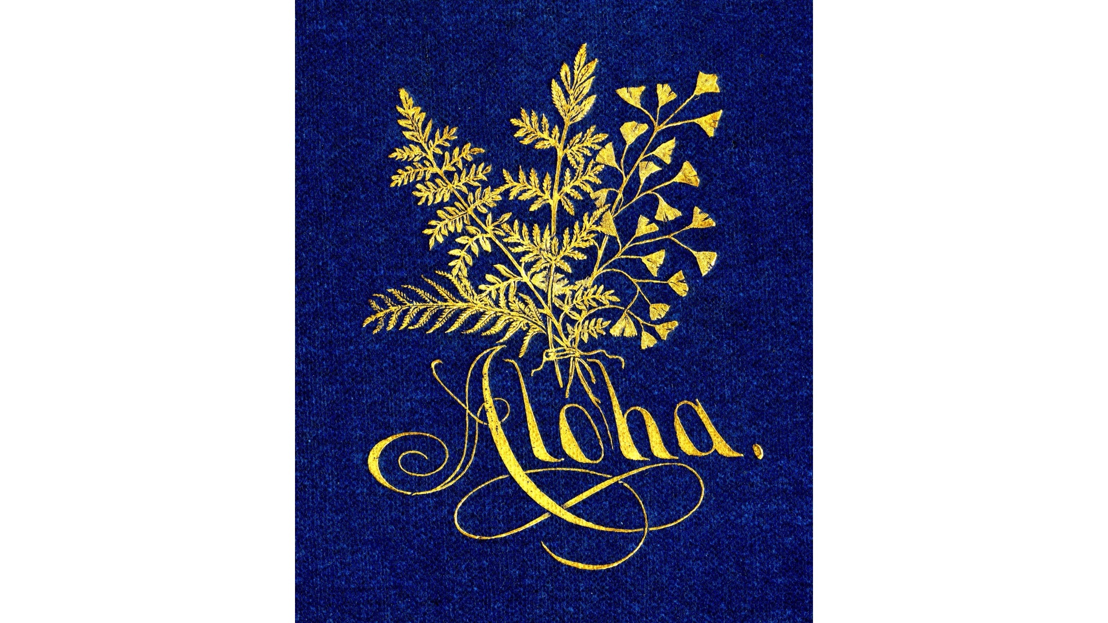 1888 book of Hawaiian ferns