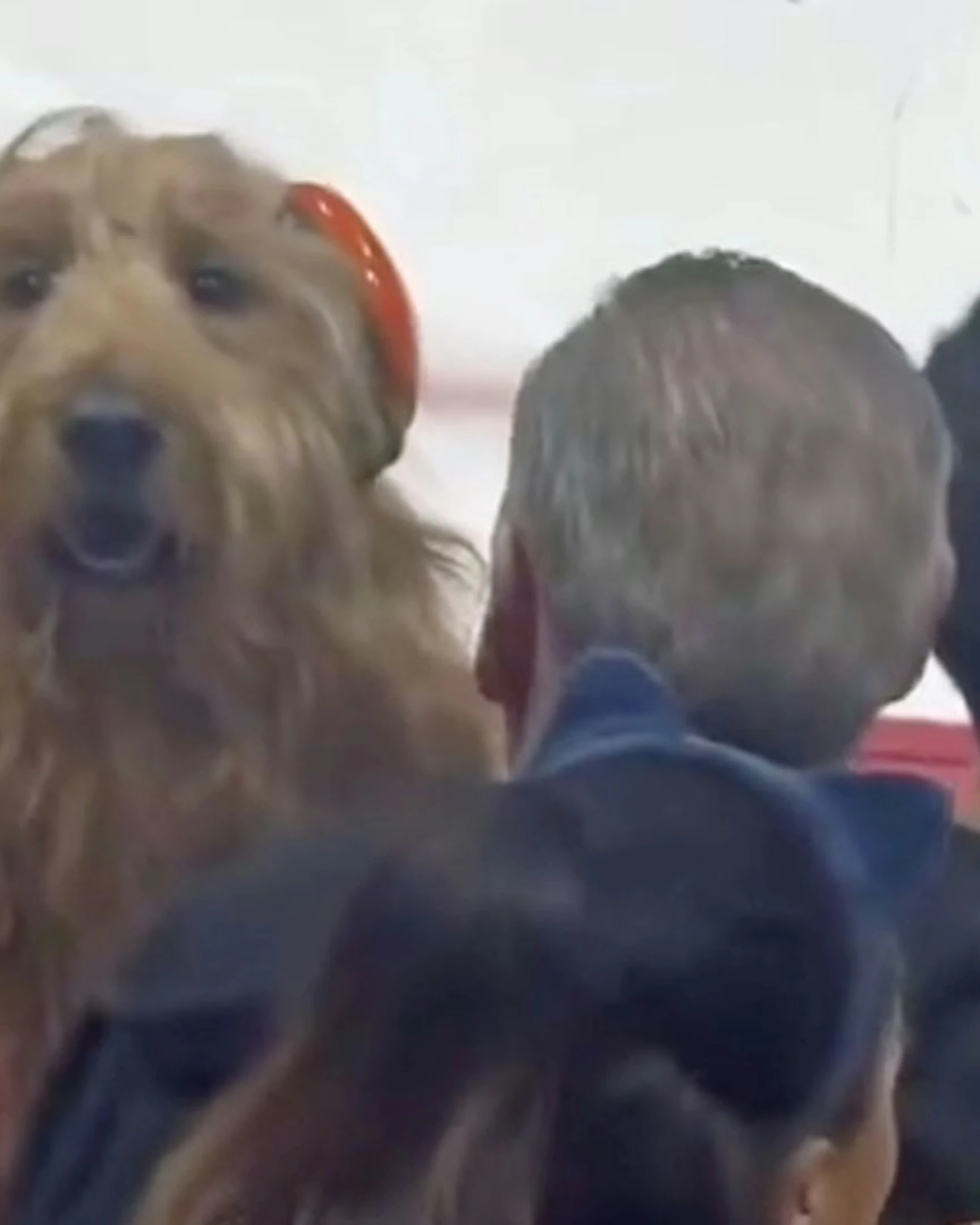 Daily Smile: Tuesday, March 10, 2026