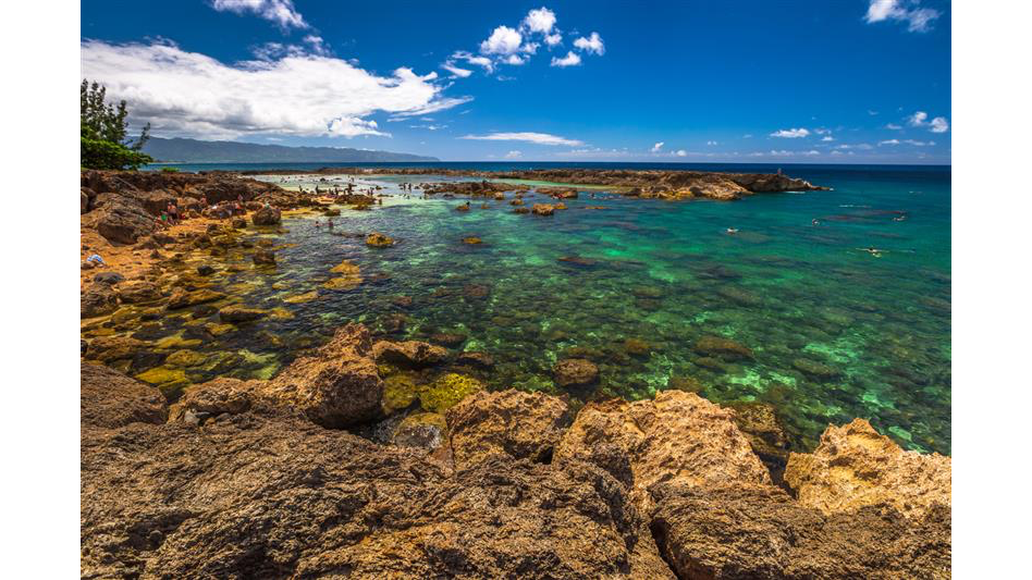 Shark's Cove in the Pupukea Beach Park.