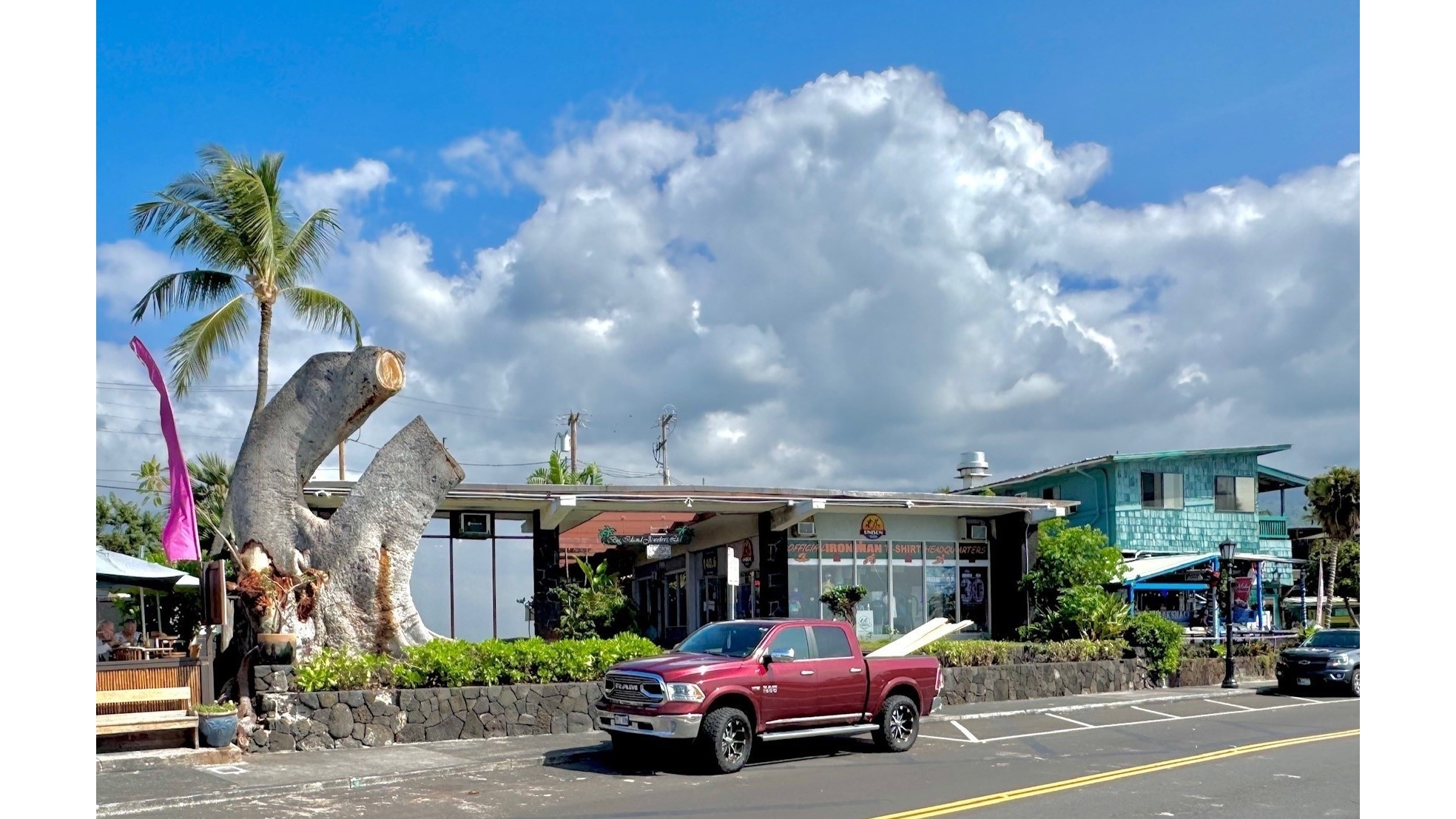 same fig tree in 2025 in Kailua Kona