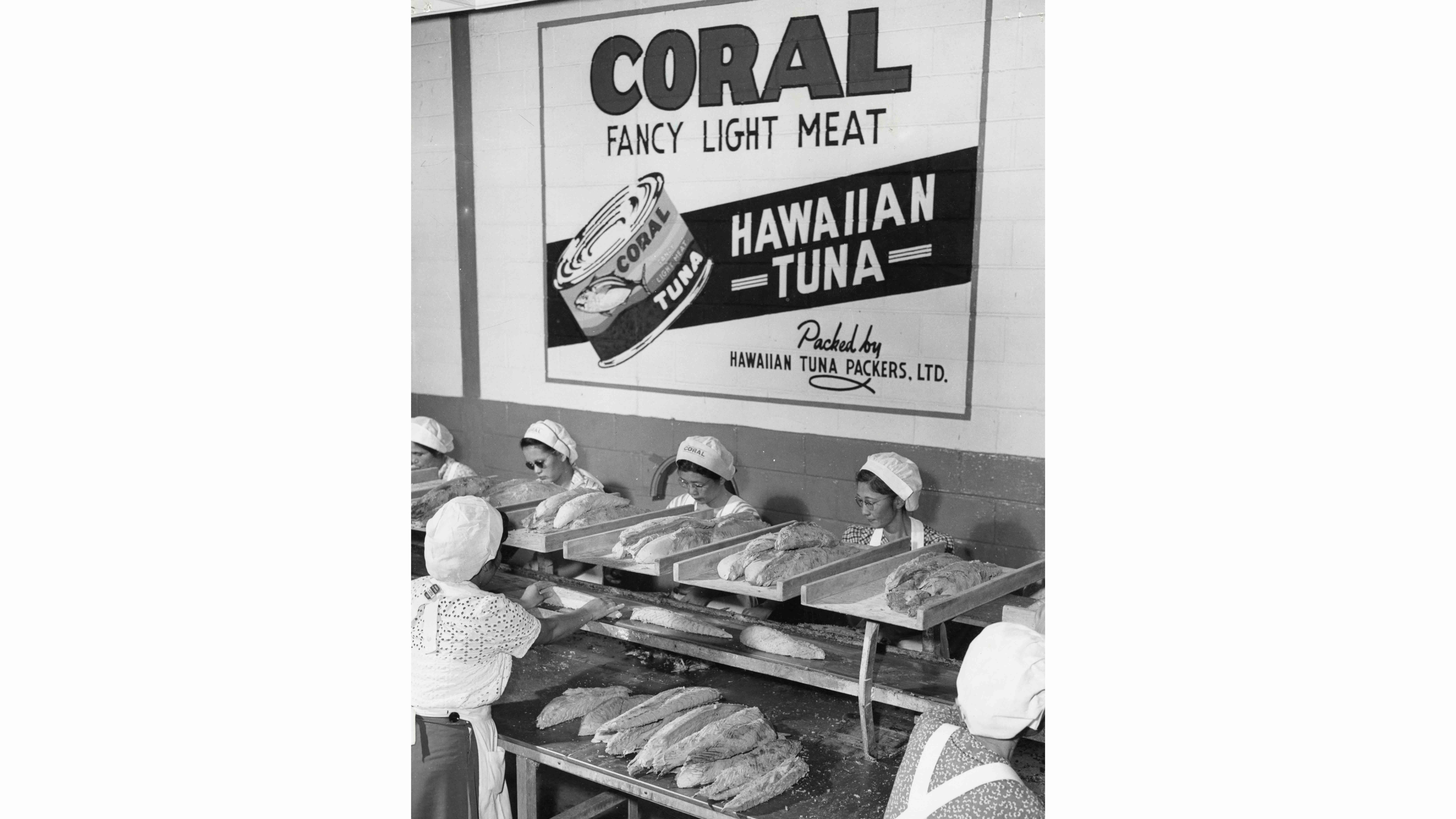Circa 1950 women at work in Hawaiian Tuna Packers, Kewalo Basin