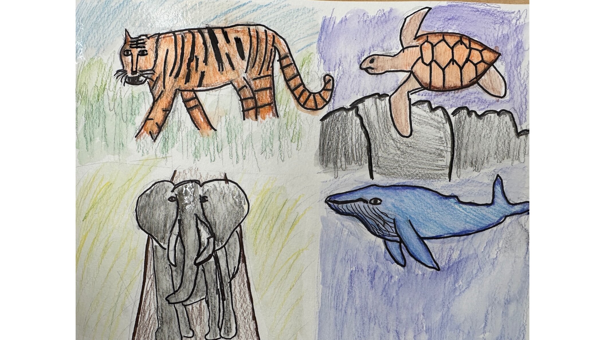 Endangered animals, as captured by a fifth grade student at Hokulani Elementary School.