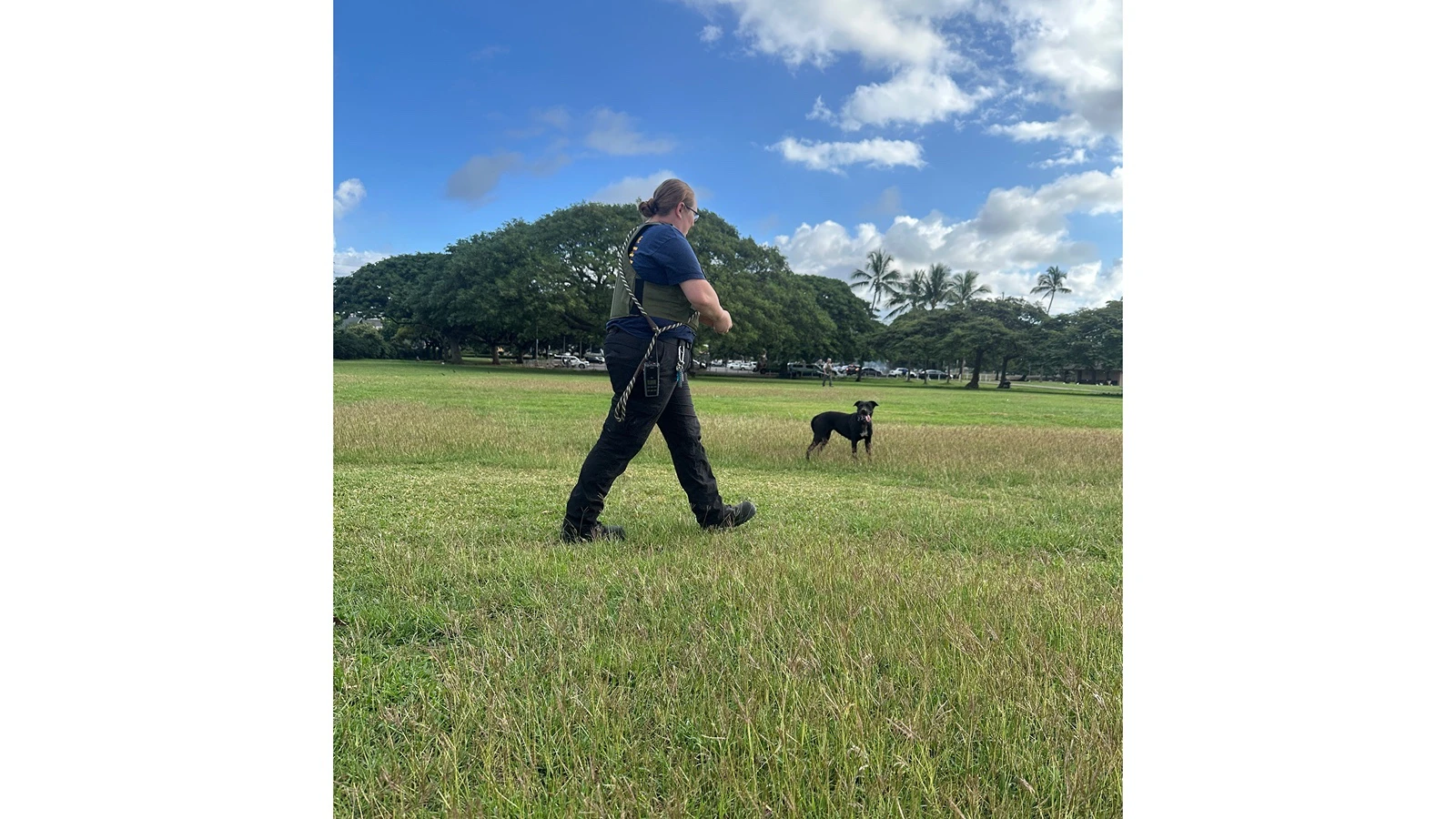 Animal Protection Officer Jasmine Bertoni Attempting to Contain Unleashed Dog at Blaisdell Park PC Hawaiian Humane Society