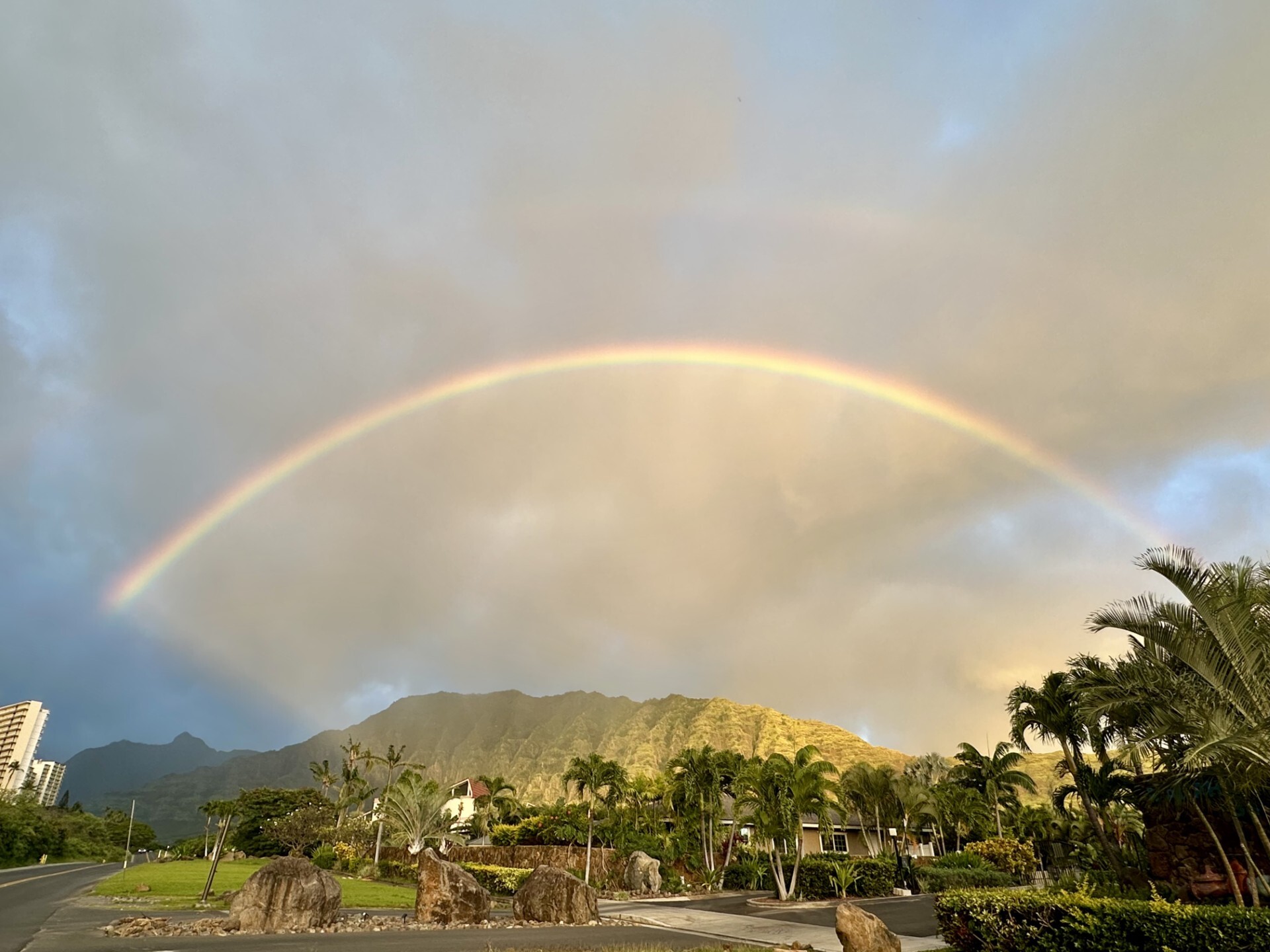 028bbb81 283f 42c1 921f cd393ef1c005