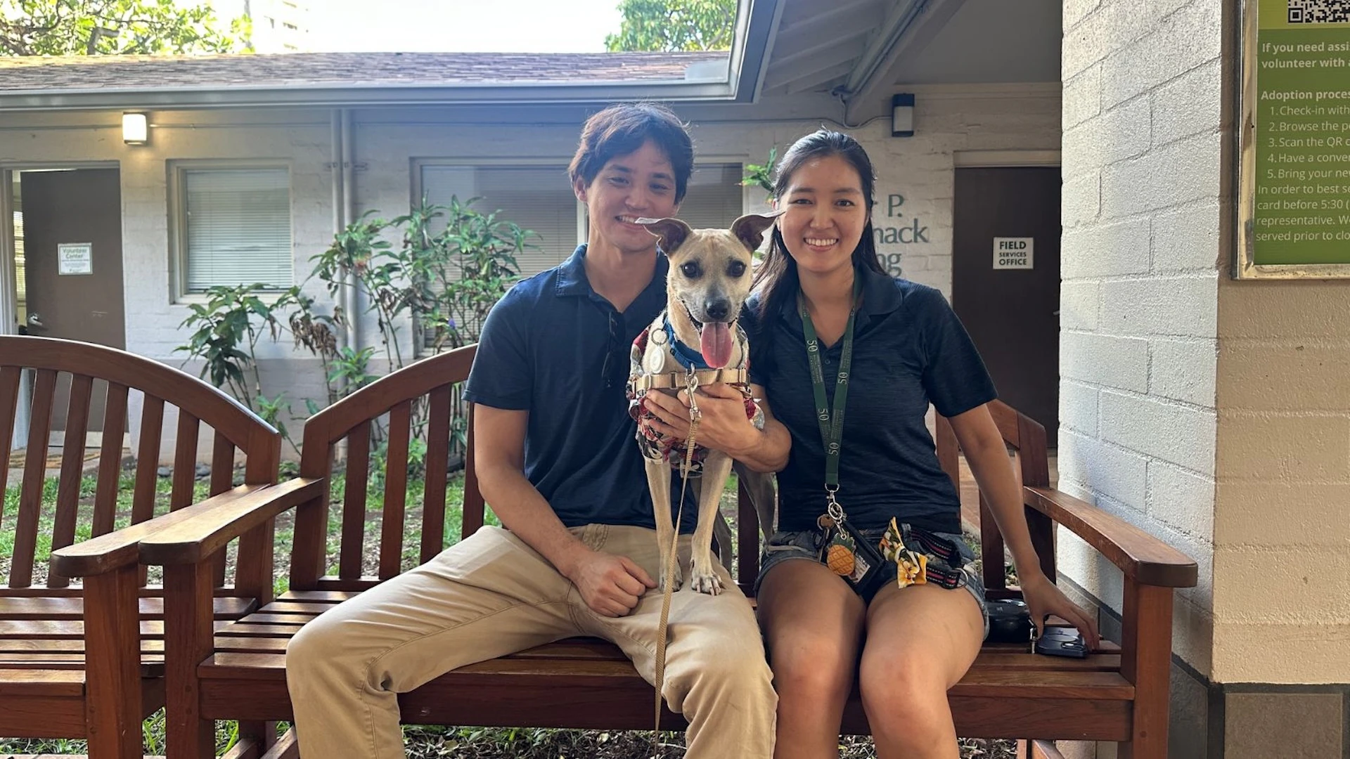 Adopt-a-Pet Sept. 11, 2025: Kinako, renamed Bingo, has found a furever family