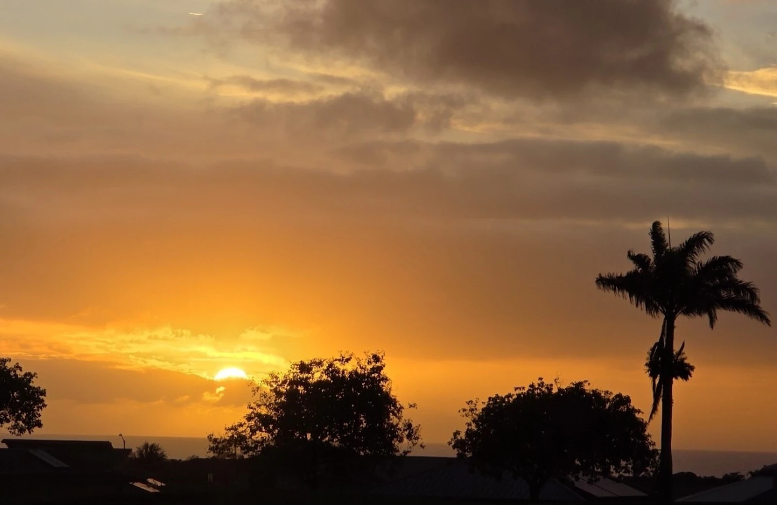 Neil Brosnahan on Kauai