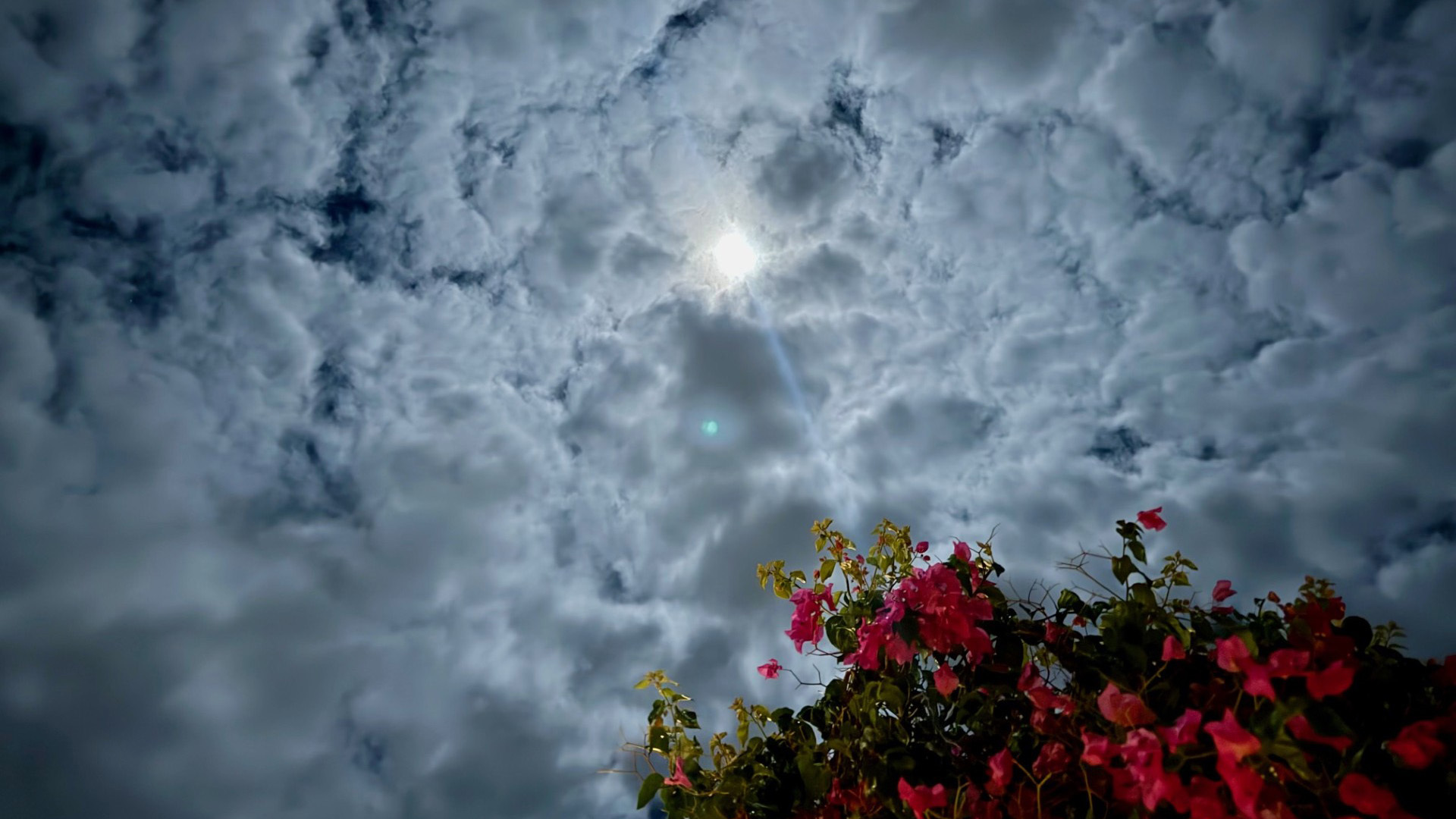 25 10 7 HAWAII SKIES AMY SCHWAB