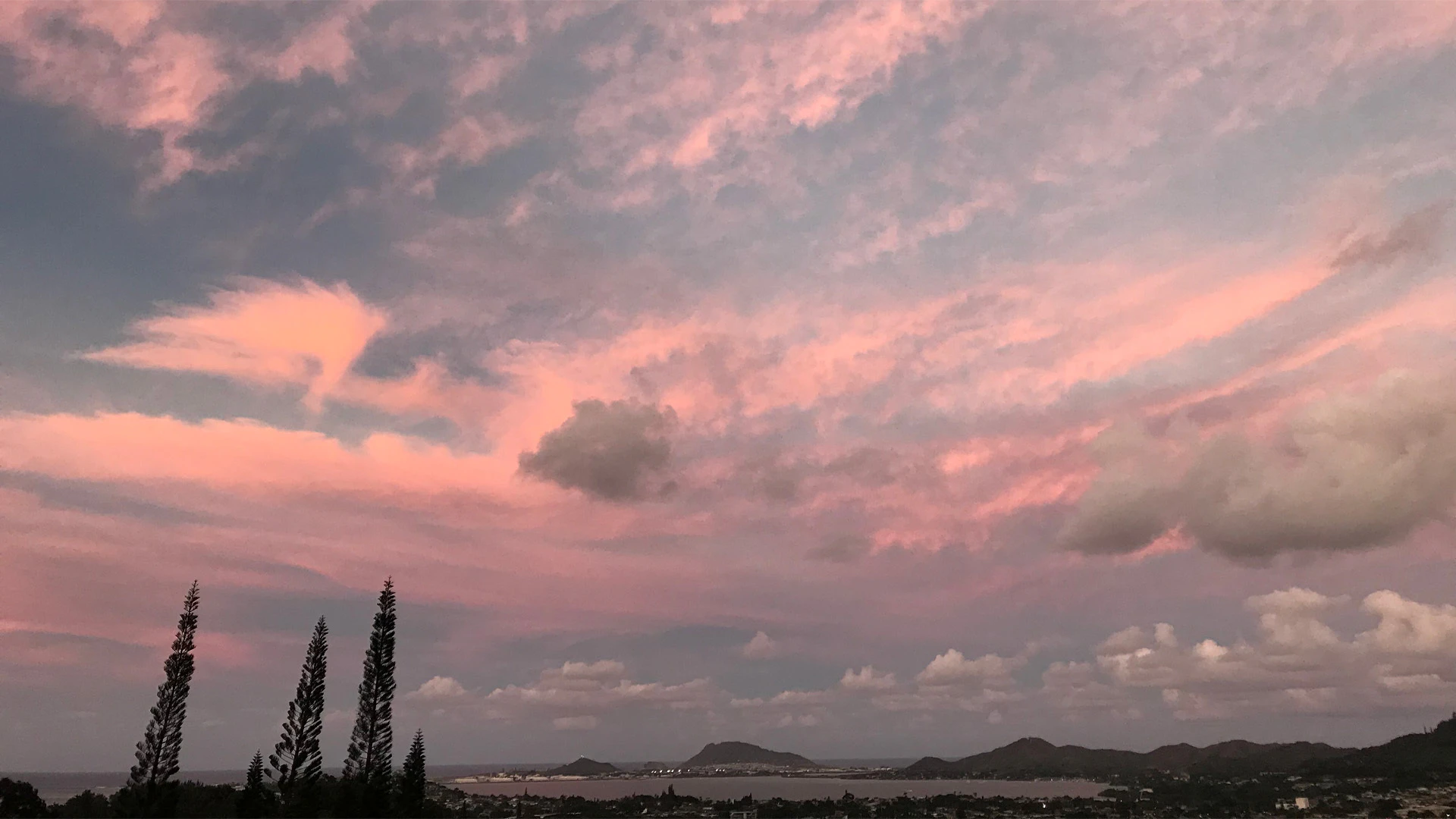 Puanani Fernandez-Akamine in Kāneʻohe