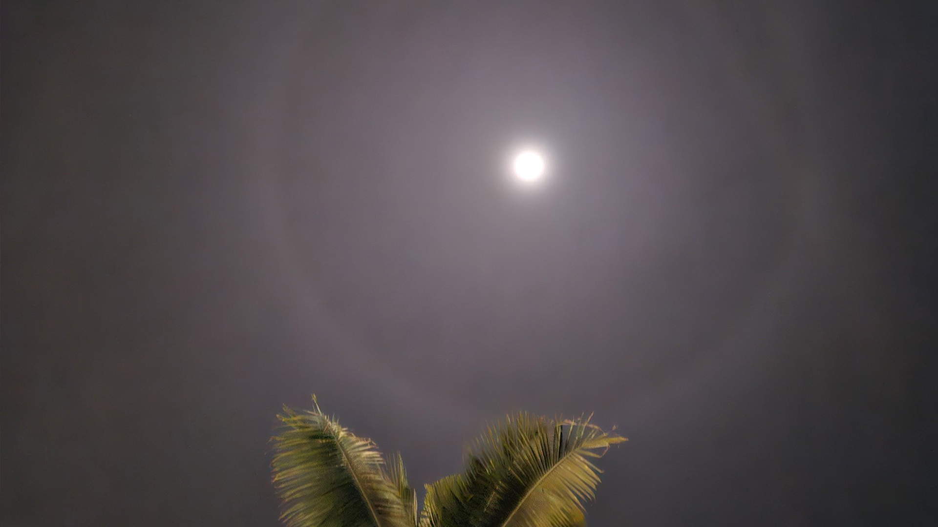 Lunar halo at Halekulani