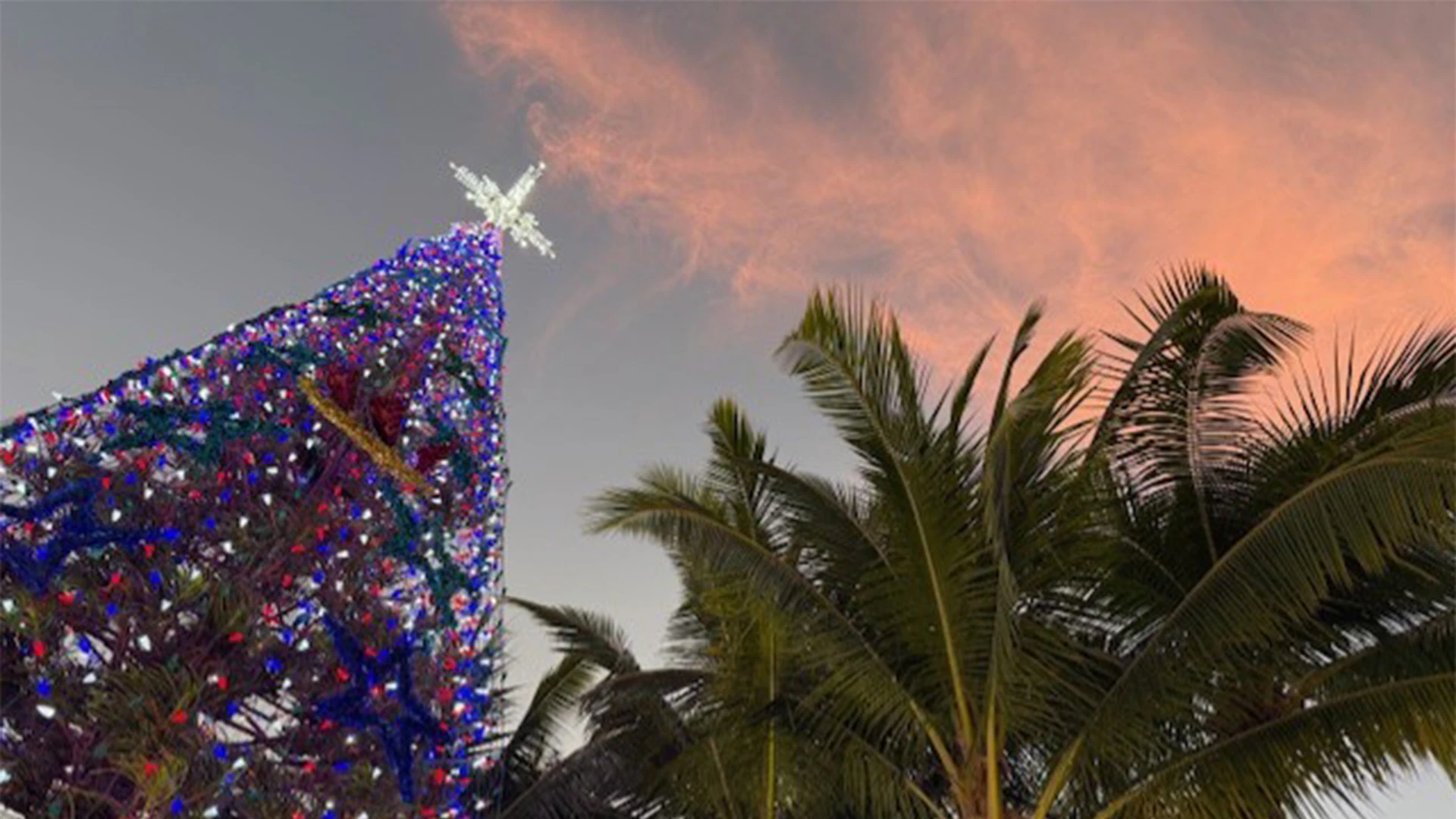 Honolulu Hale at Christmas time