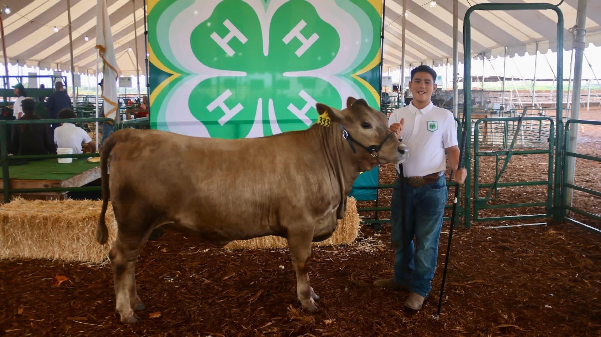 "If you are curious how a 5th grader handles a 13-pound steer, this is the right place to be,” according to Asia Broussard, who oversees the Hawaiʻi 4-H livestock program.