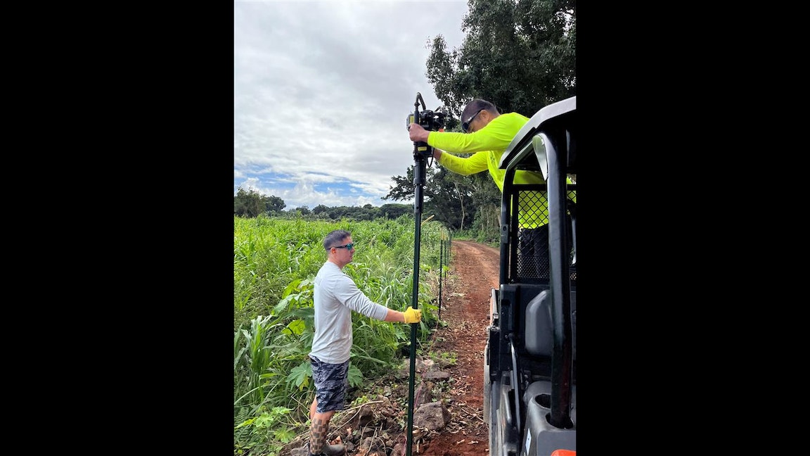 Two men helping repair a fence outdoors in a loi patch.