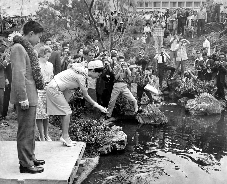 In May 1964, Japan’s then-Crown Prince Akihito and Princess Michiko bless the East-West Center’s signature Japanese garden with a traditional release of koi into the garden stream.