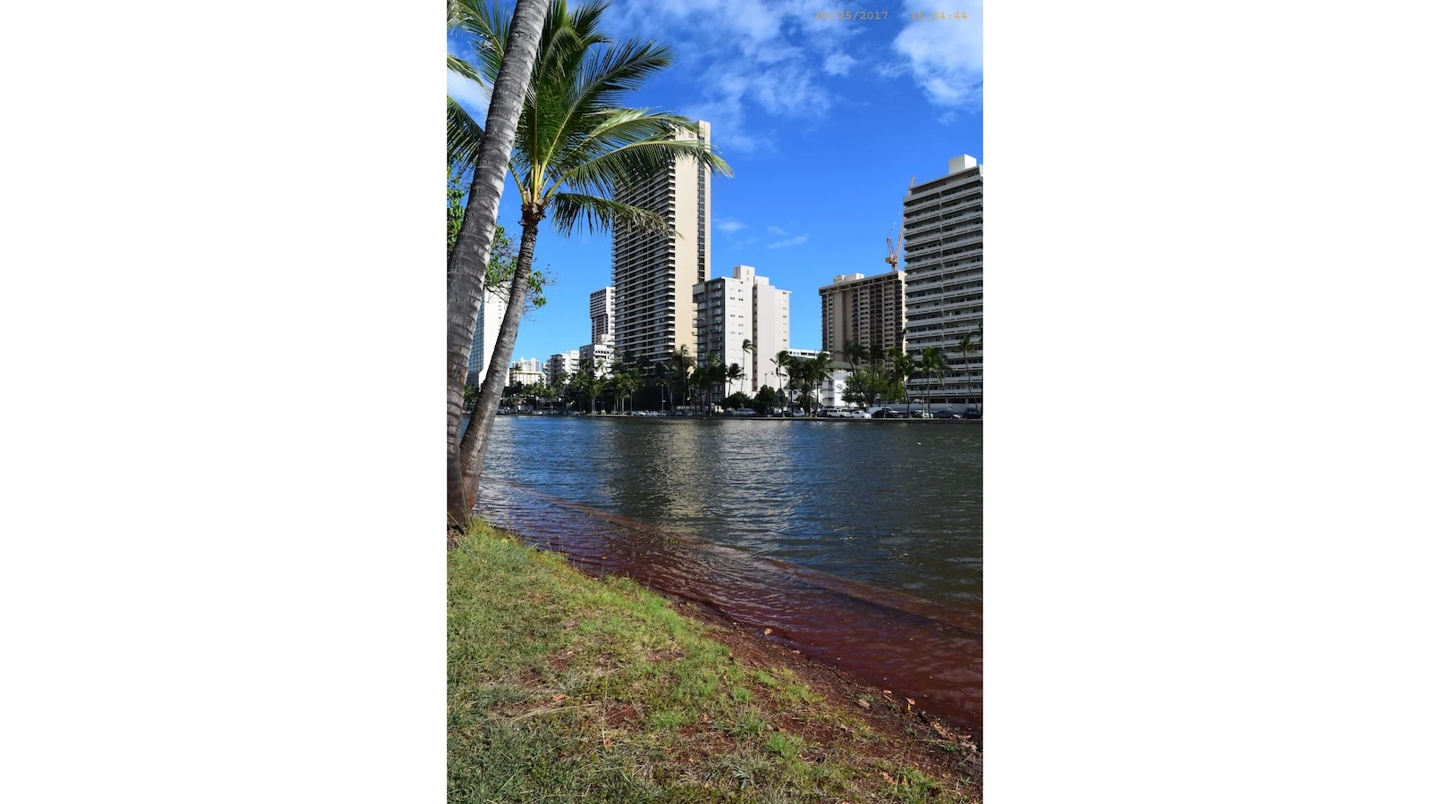 Ala Wai Canal flooded over its banks