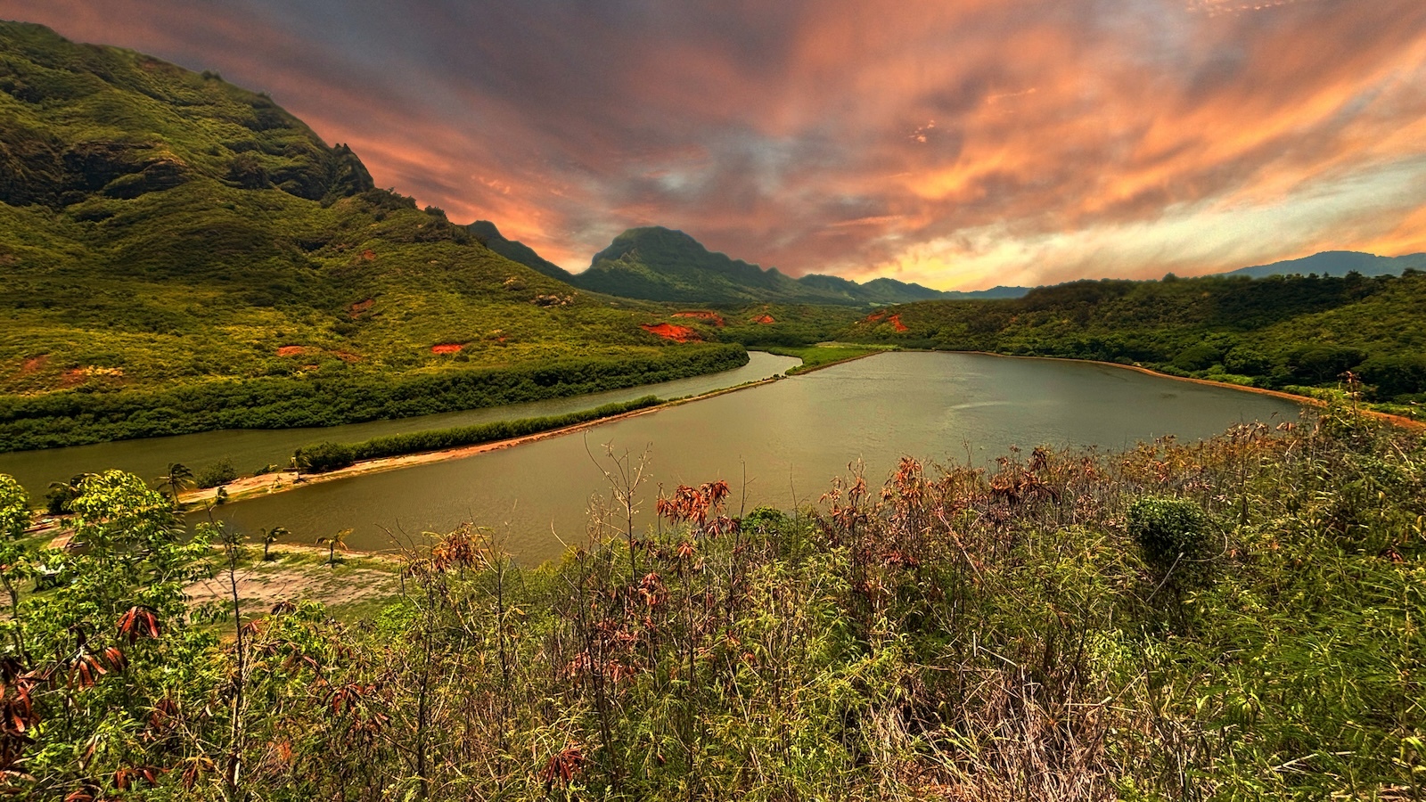 Beneath the moon at Alakoko