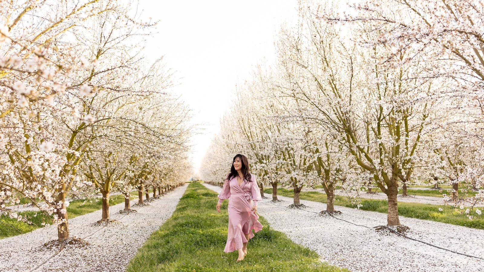 Almond Tree founder Joanne Young