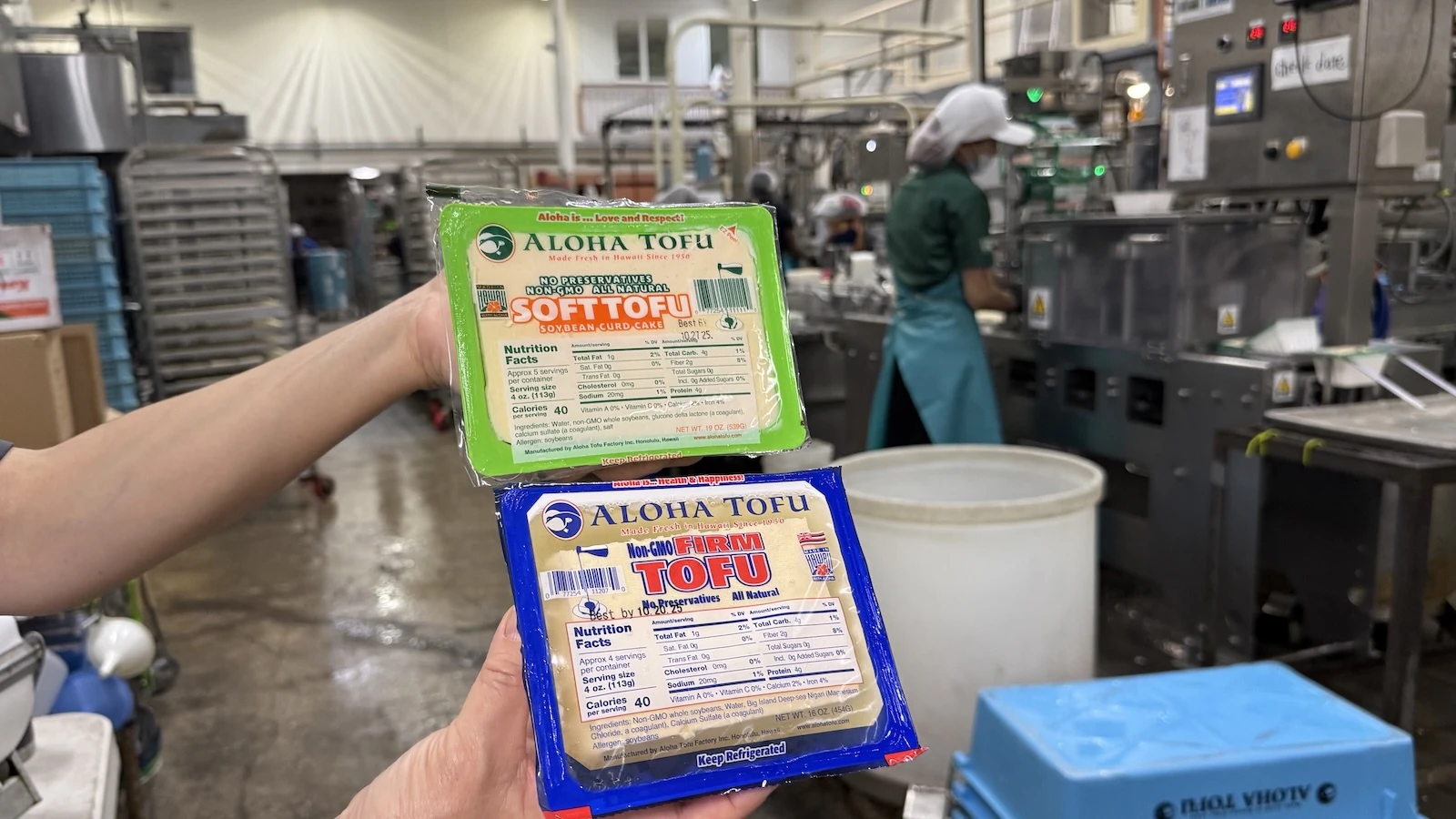 firm and soft tofu