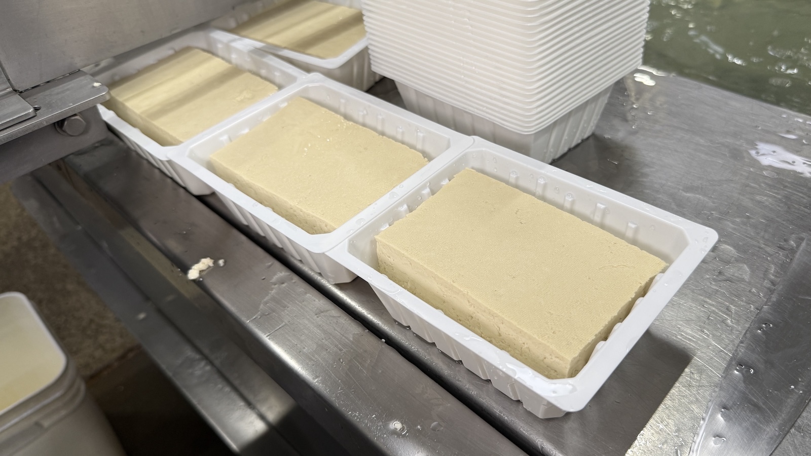 tofu ready to be packaged