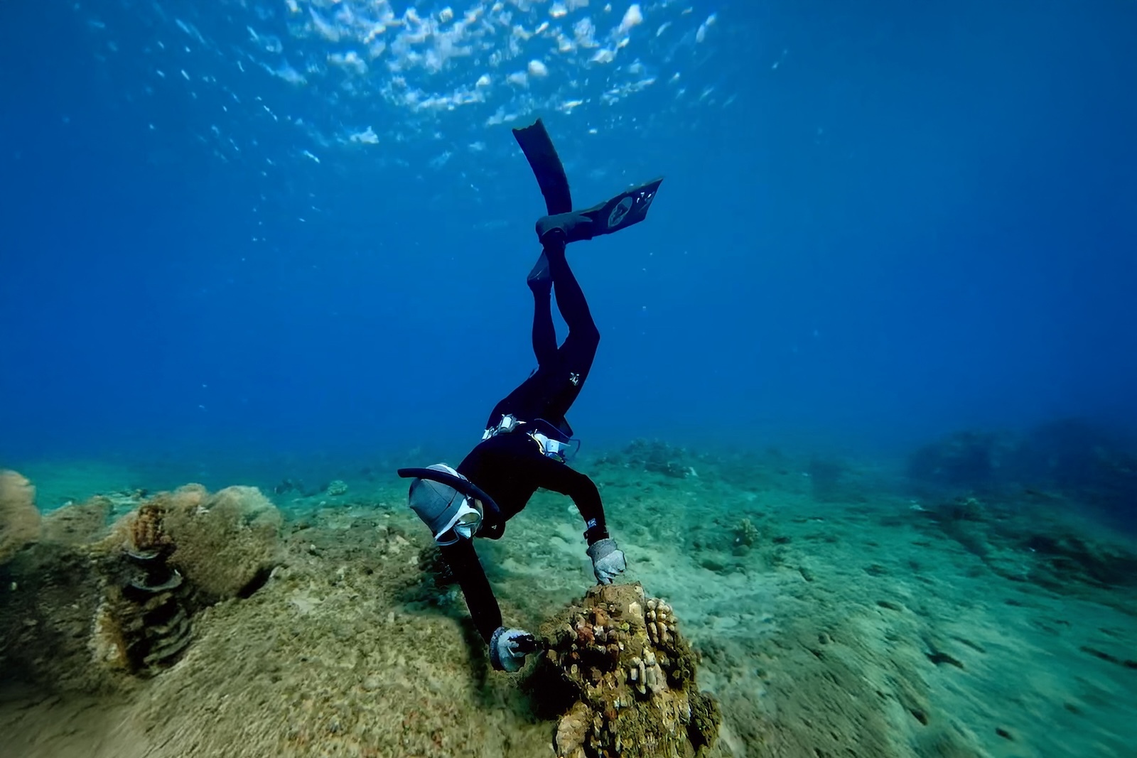Shera Mercer, owner of Hawaiʻi-based jewelry company, ‘Aloha Kai, helps clean the reef while diving.
