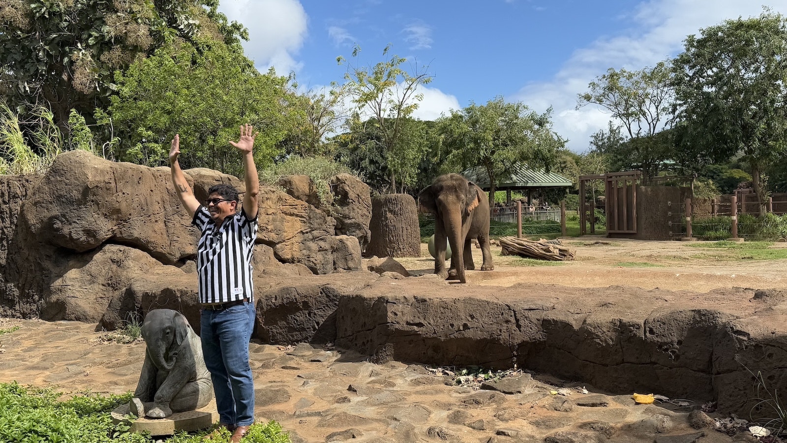 "Touchdown" at the Honolulu Zoo elephant enclosure by Honolulu City Councilmember Augie Tulba.