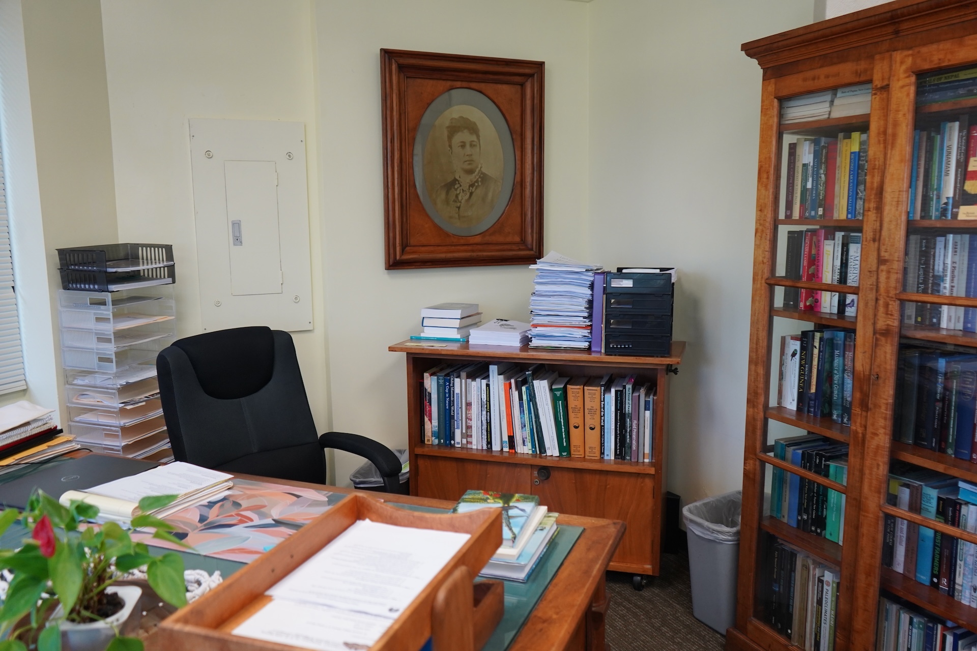 Kris Helgen, president and chief executive officer of the Bishop Museum, has an office that overlooks the nonprofit’s Great Lawn, which is a popular gathering spot for community events.