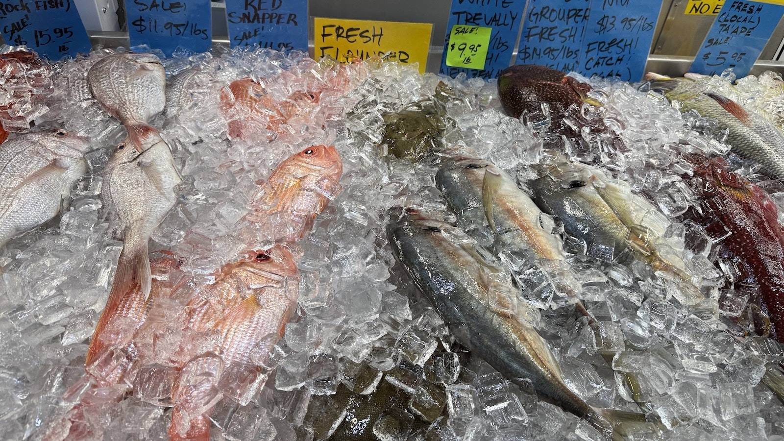 seafood