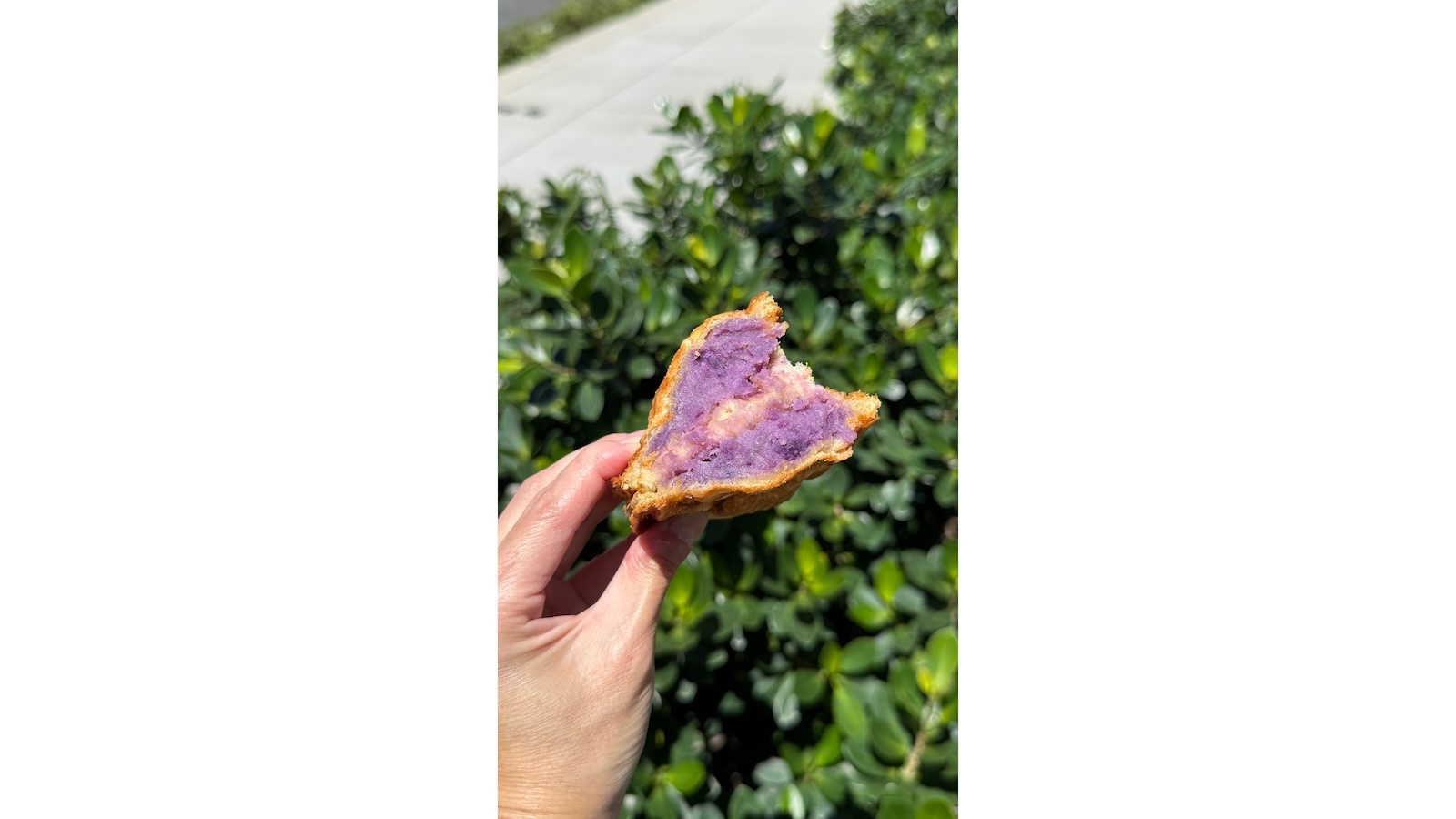 sweet potato filling