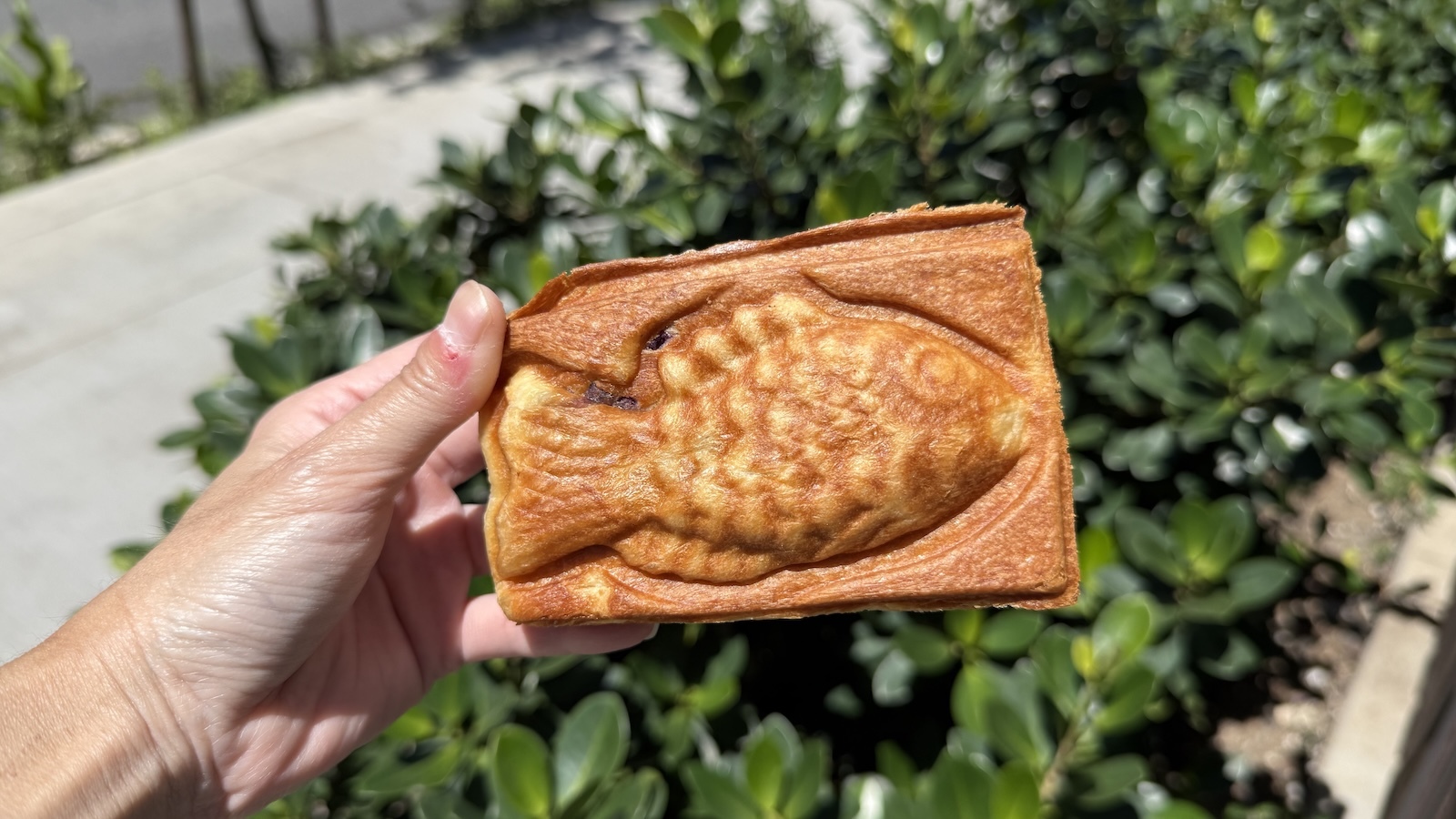 taiyaki