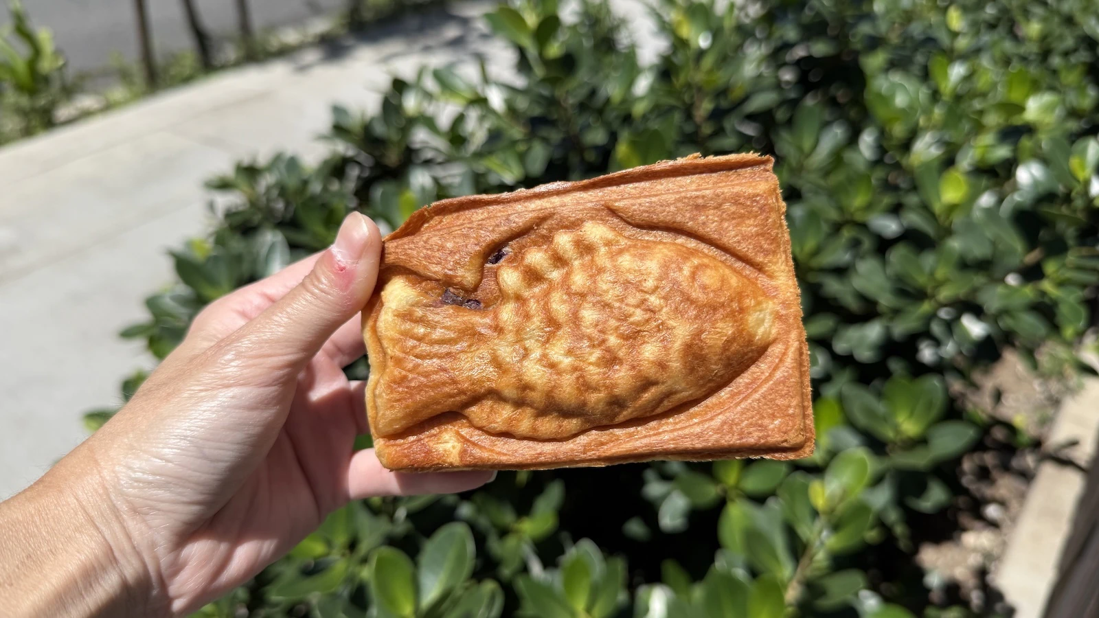 New taiyaki spot in Honolulu