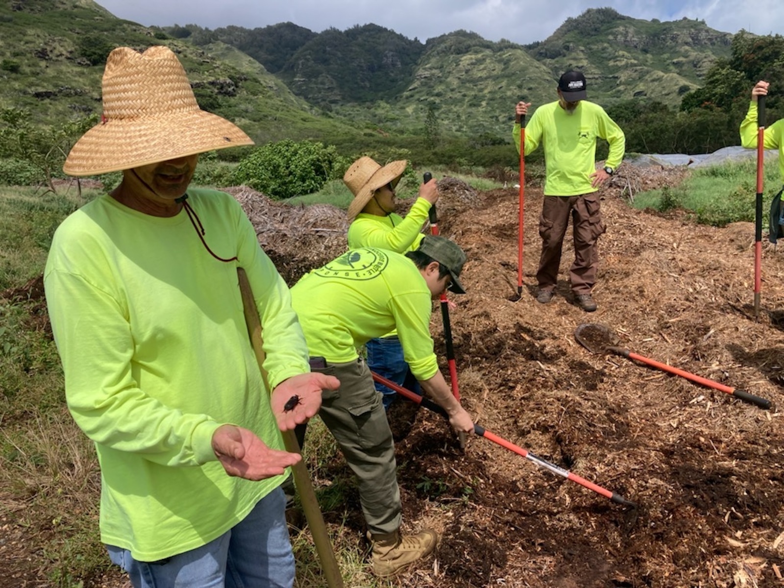 CRB Response provides education, awareness, detection, prevention and treatments to protect Hawaiʻi’s natural landscapes, businesses and residents’ homes.