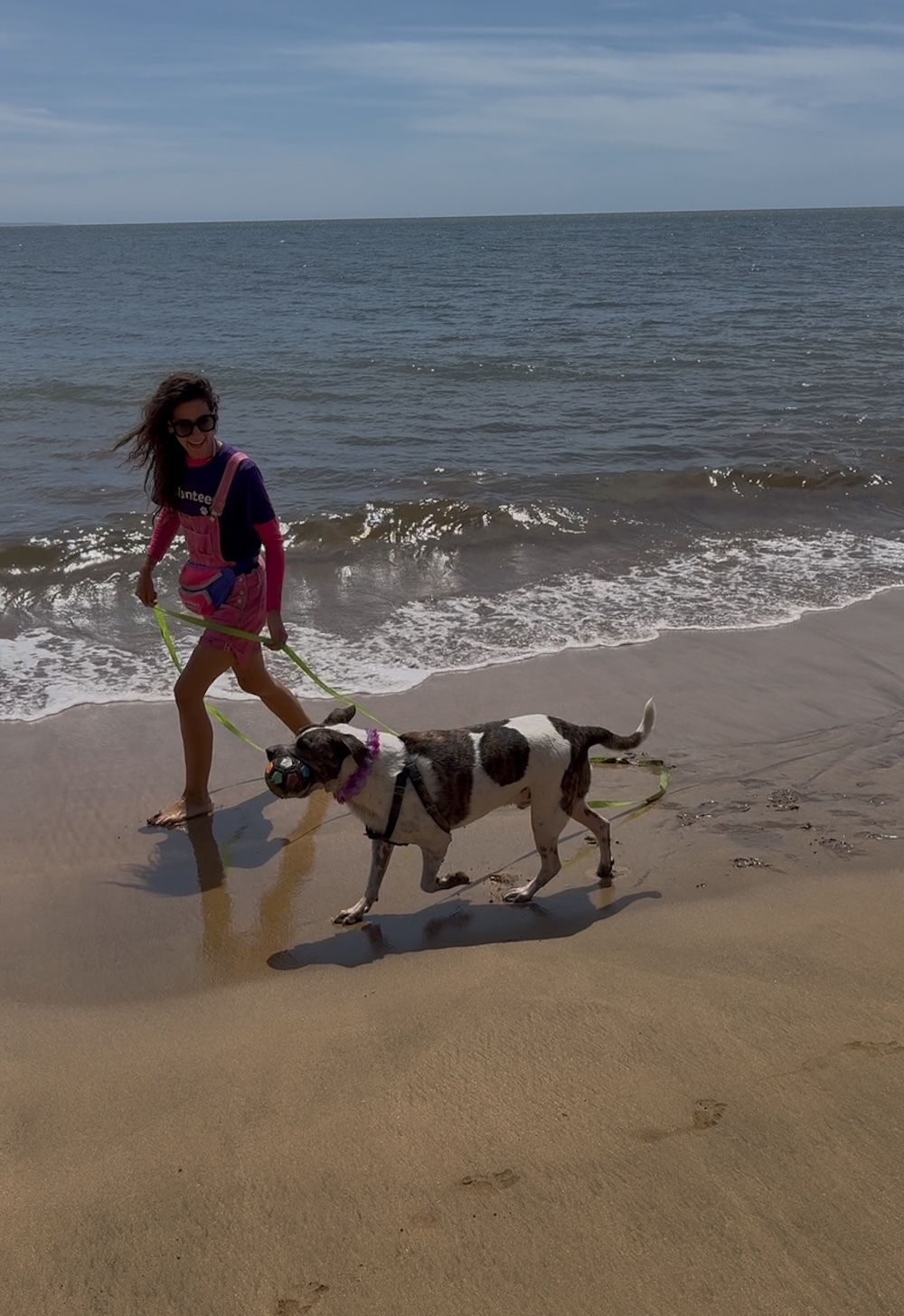 Cassondra “Cassie” Christman joined Maui Humane Society as a volunteer in 2022 as a dog walker. Now, she wears many hats.