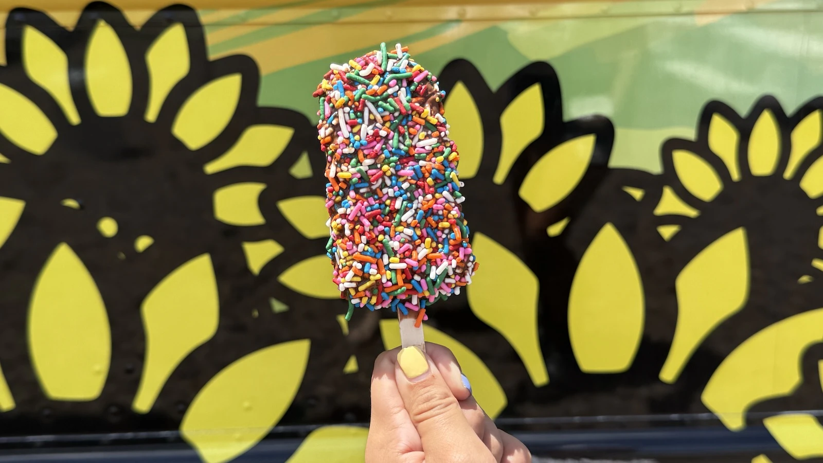 dipped ice cream bar