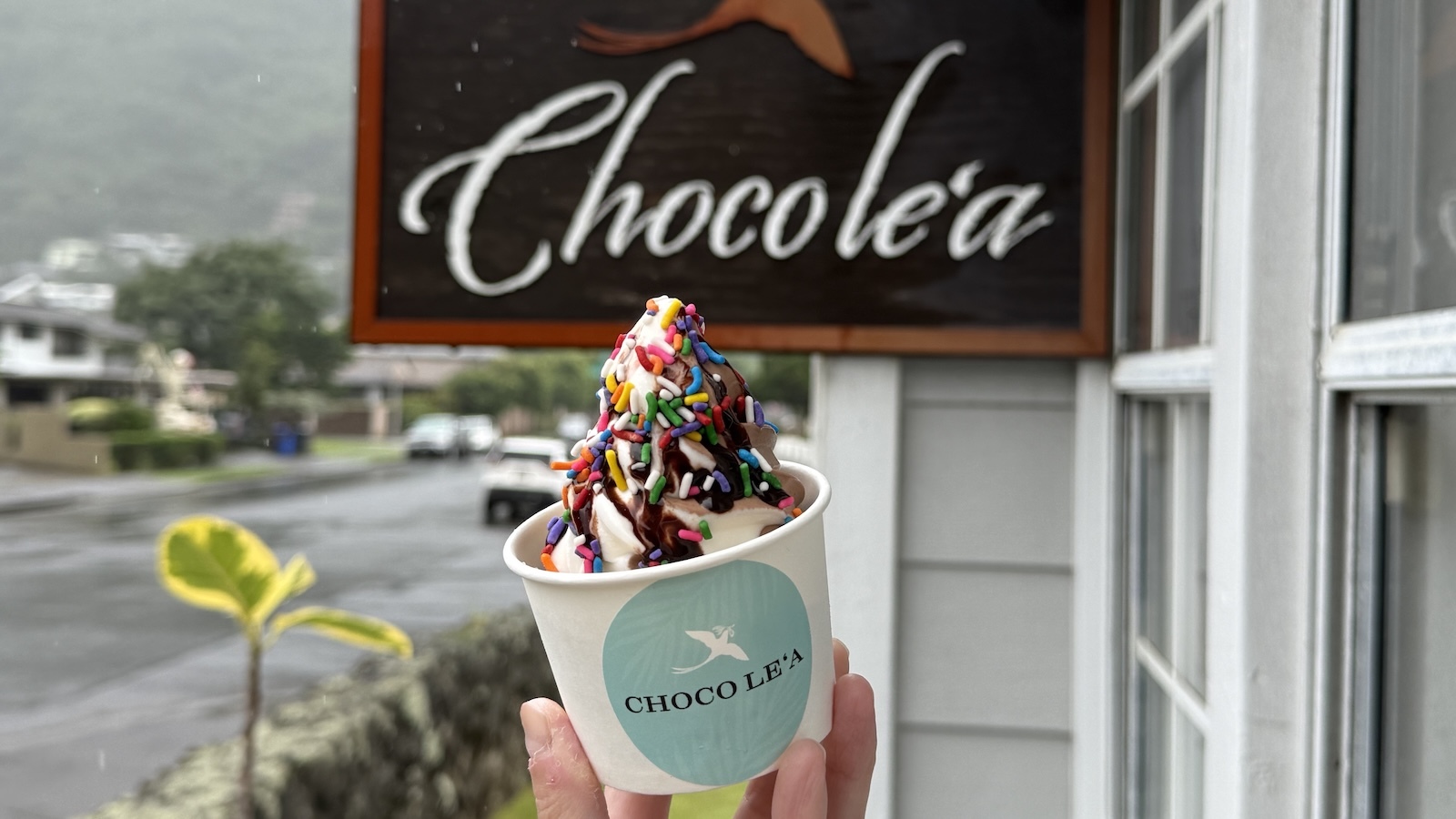 soft cream with sprinkles and chocolate