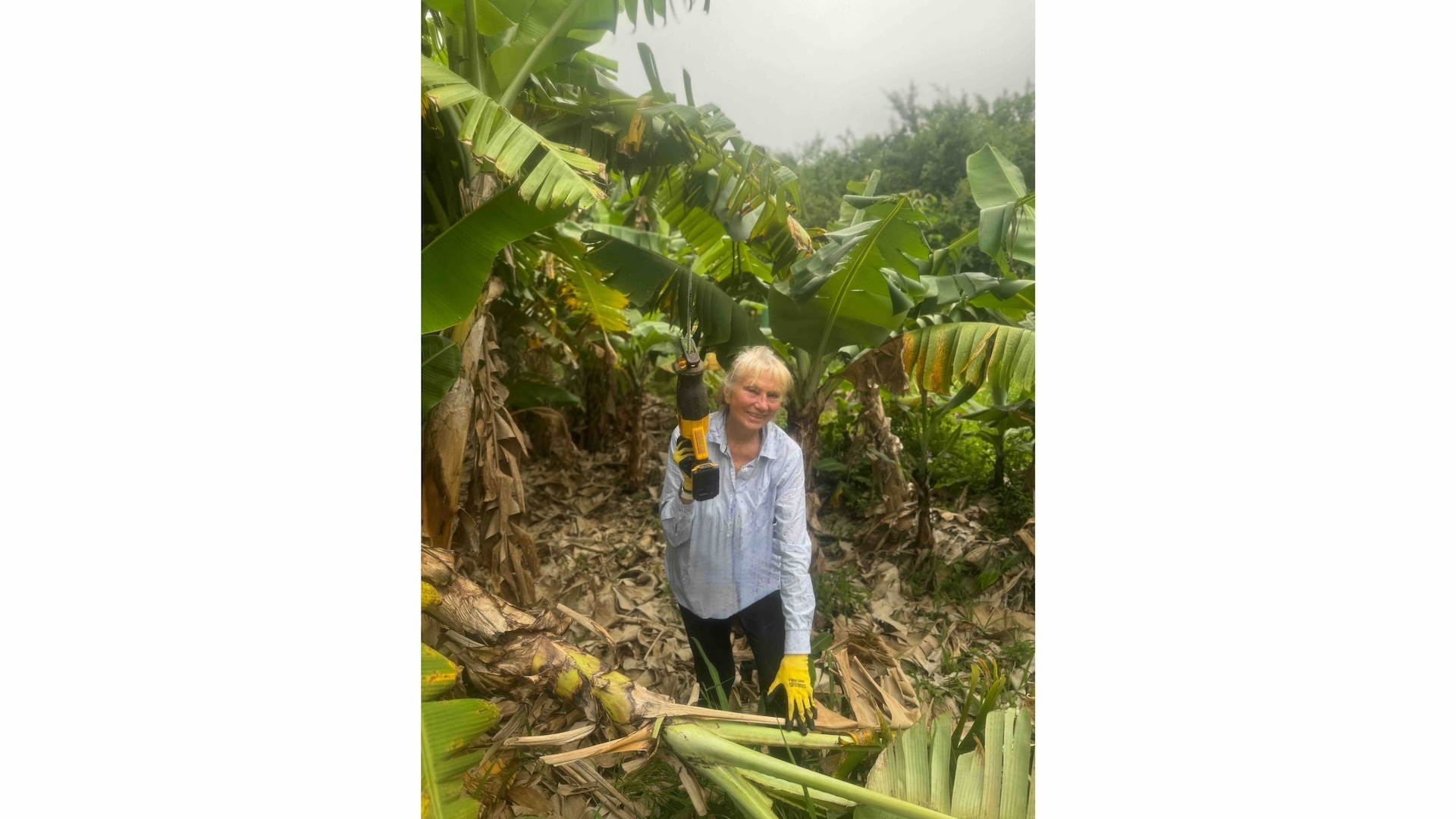 Christina Chang, farm director of Lokelani ʻOhana