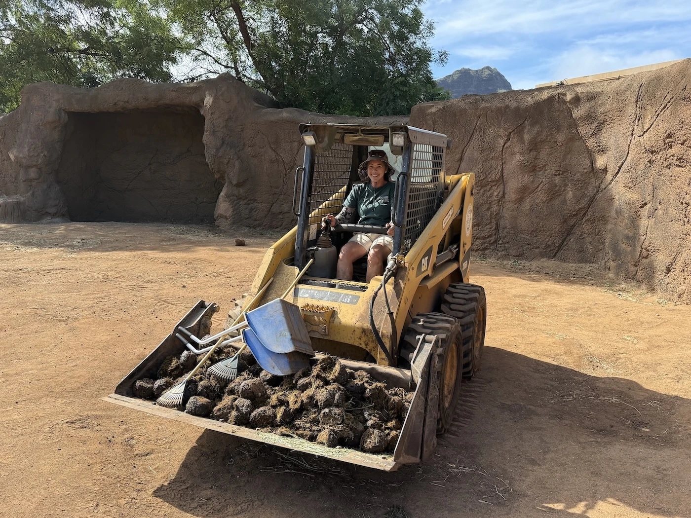 Elephant poop makes great compost.