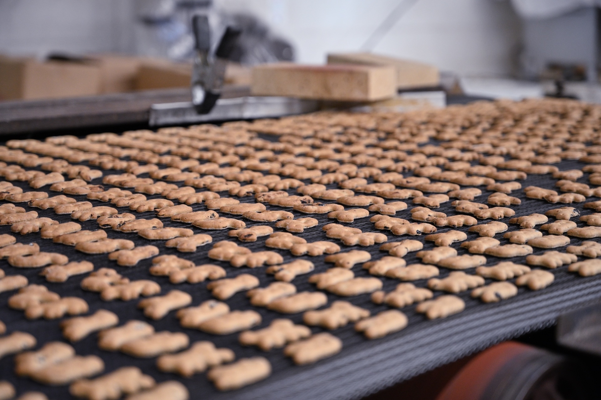 Diamond Bakery and Hawai‘i ʻUlu Cooperative are bringing its 'ulu animal crackers, flavored with blueberry and local honey, to keiki statewide.