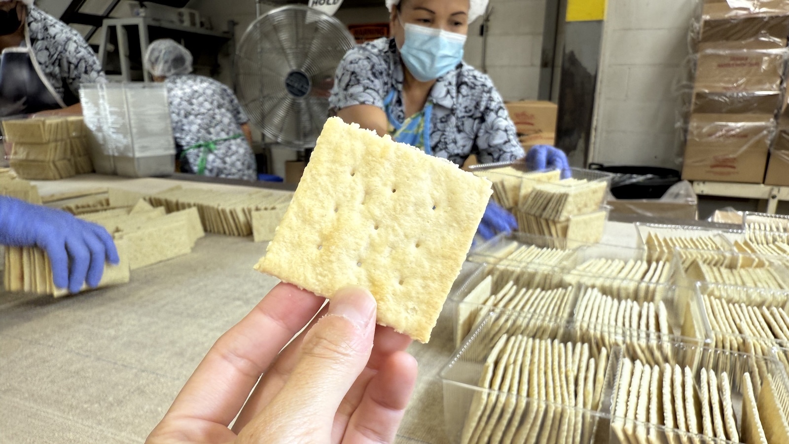 sampling soda cracker