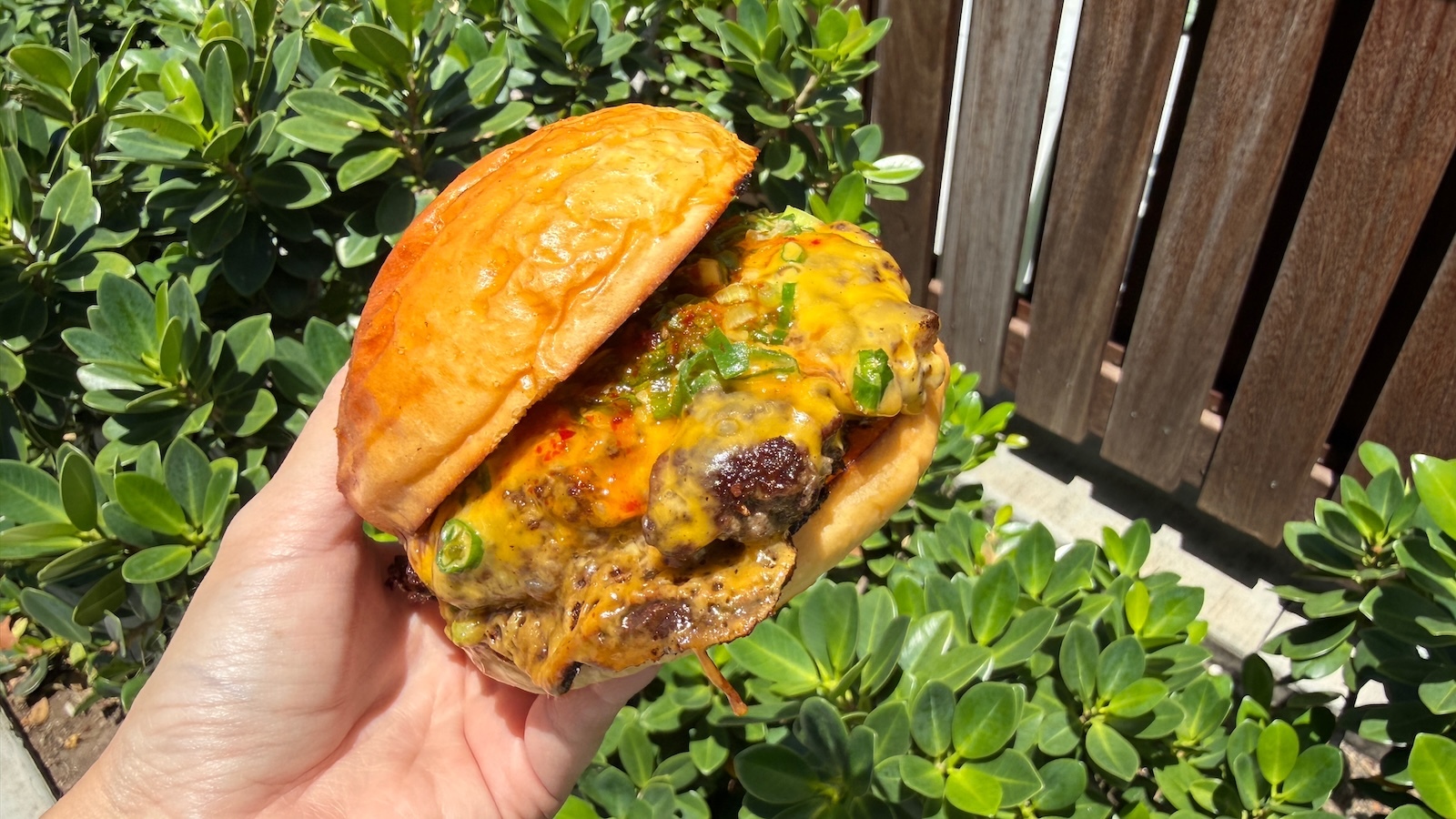 yuzu kosho burger
