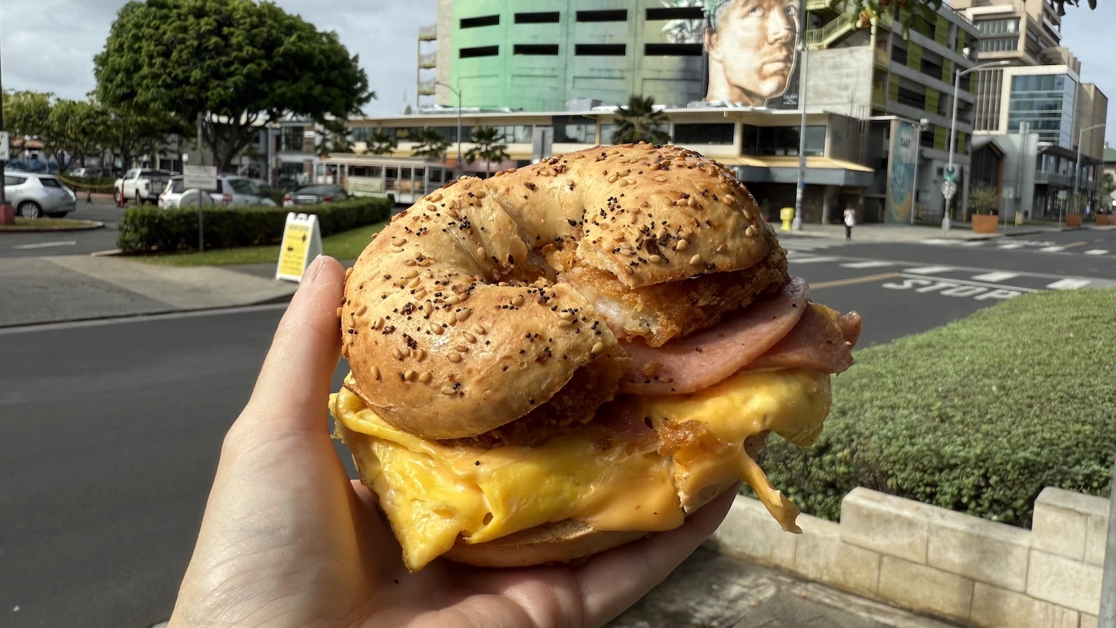 pork roll bagel