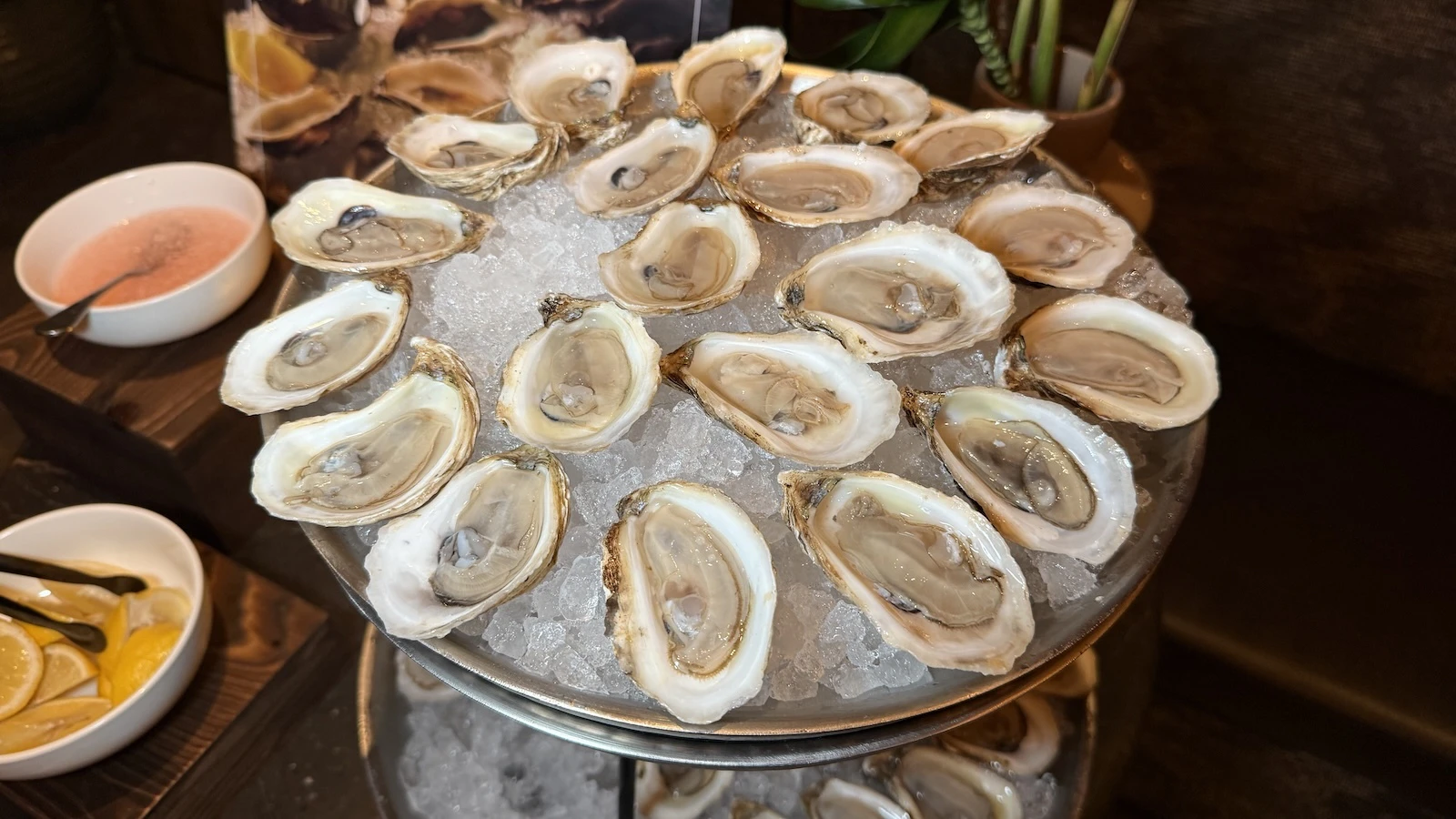 oysters