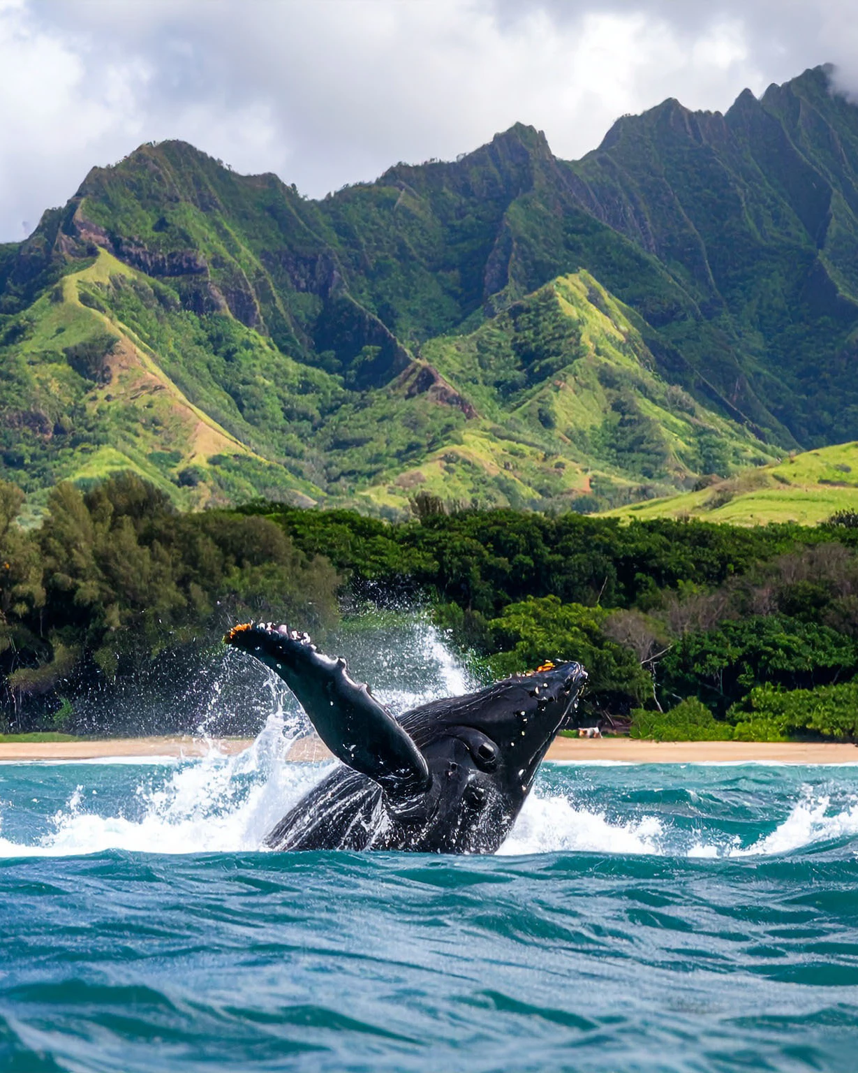 Hawai‘i Scene on Social: Surfing with friends