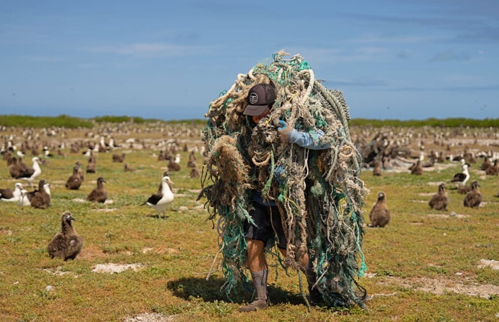 A team member of the Papahānaumokuākea Marine Debris Project carries a massive ball of fishing gear across a plain of Mōlī on Kuaihelani. Photos: Andrew Sullivan-Haskins, PMDP