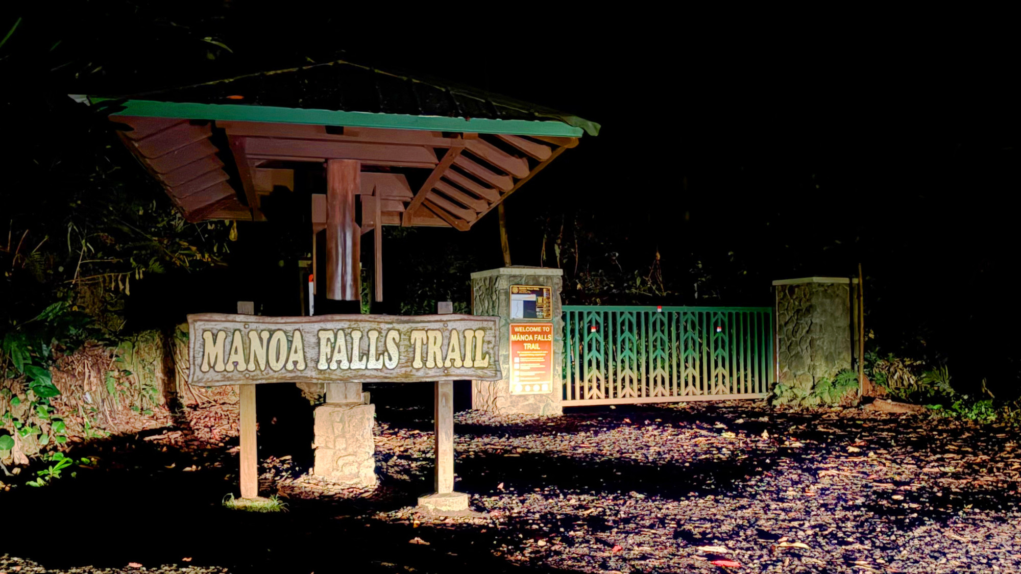 Disembodied eyes at Mānoa Falls Trail