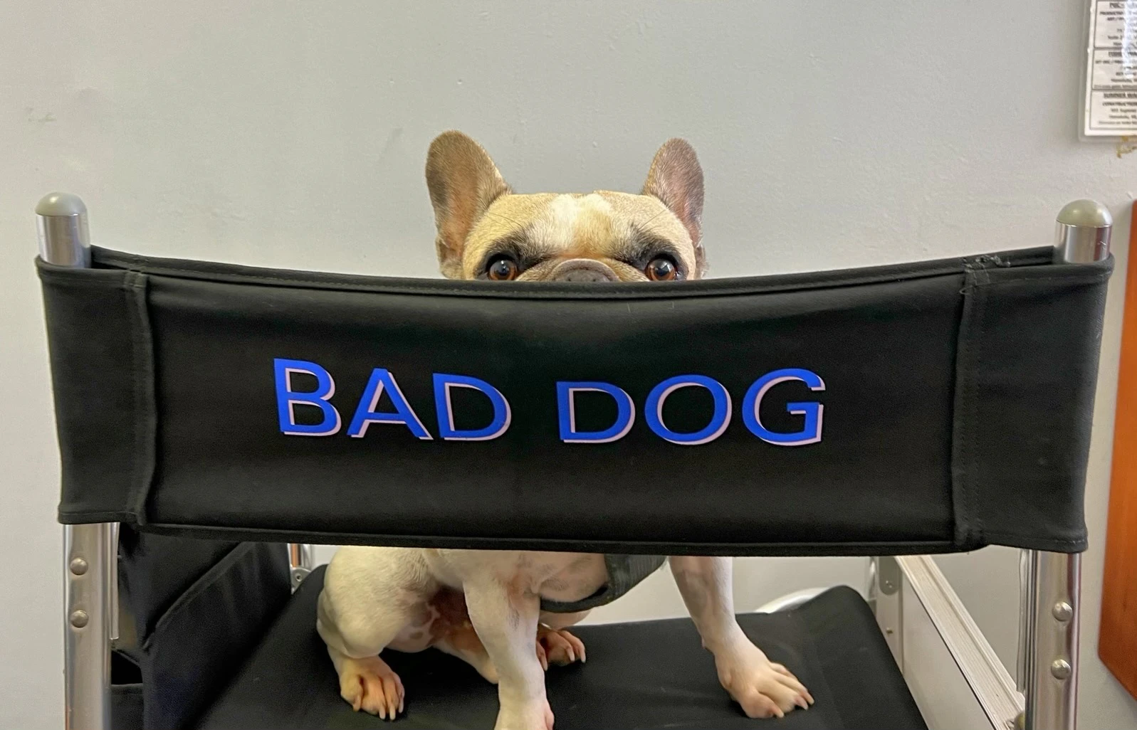 Dale is part of the movie, “Lilo & Stitch,” which premiered in theaters on Friday, May 23.