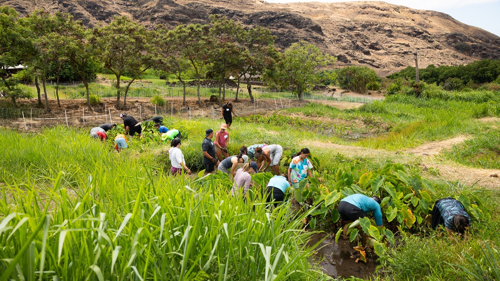 Latest cohort graduates from HITOP