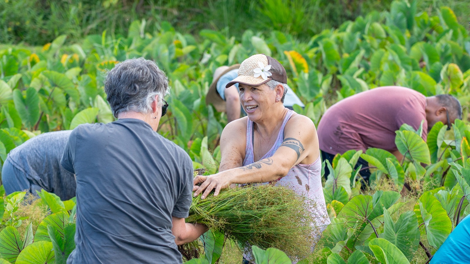 Movers and Shakas' Hawai‘i Talent Onboarding Program included three community service and stewardship projects with local nonprofit partners, including Kākoʻo ʻŌiwi, pictured here.