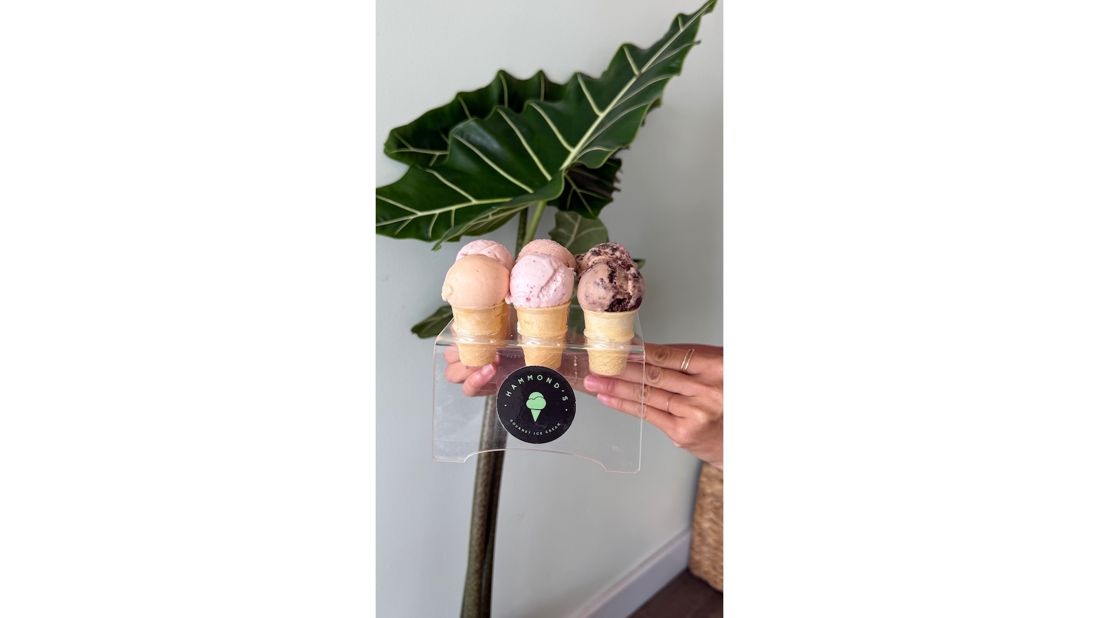 ice cream flight cones